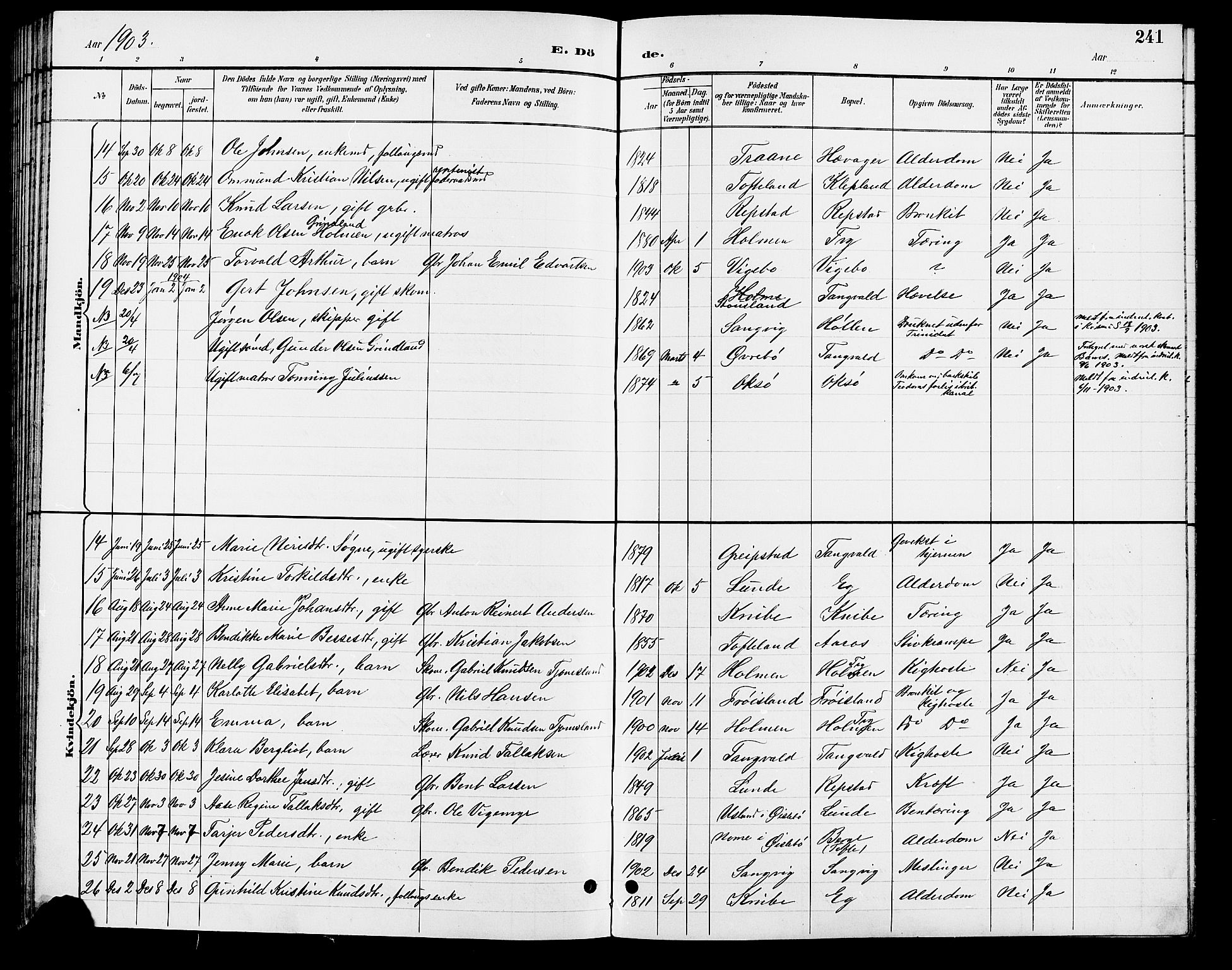 Søgne sokneprestkontor, AV/SAK-1111-0037/F/Fb/Fbb/L0006: Parish register (copy) no. B 6, 1892-1911, p. 241