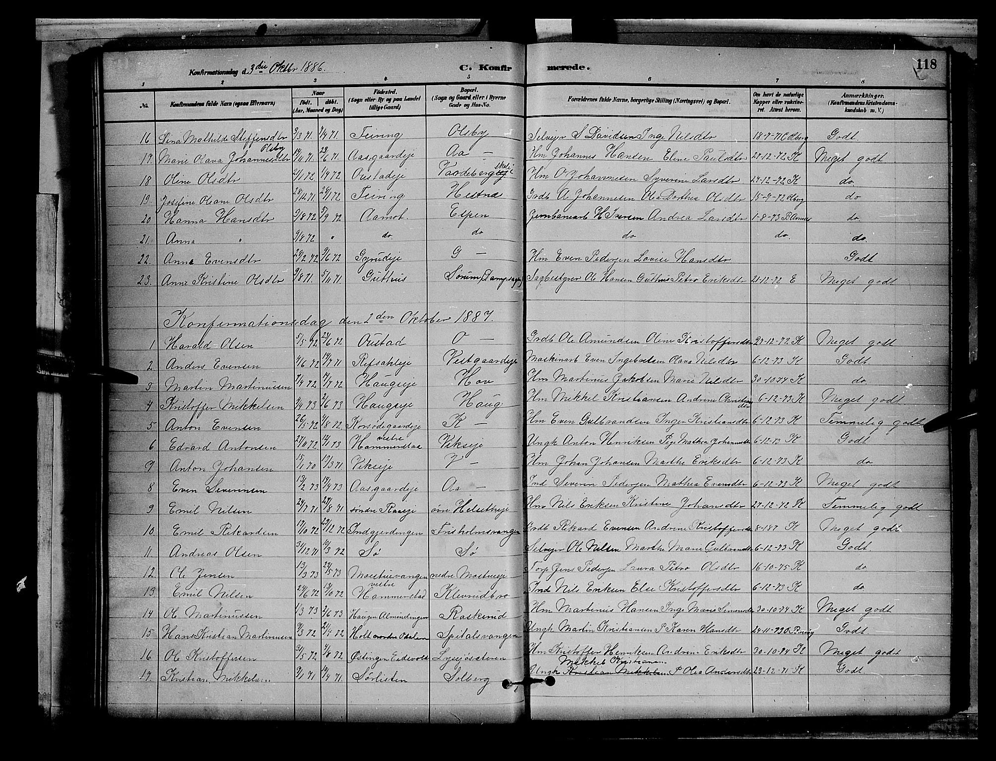 Stange prestekontor, SAH/PREST-002/L/L0008: Parish register (copy) no. 8, 1882-1895, p. 118