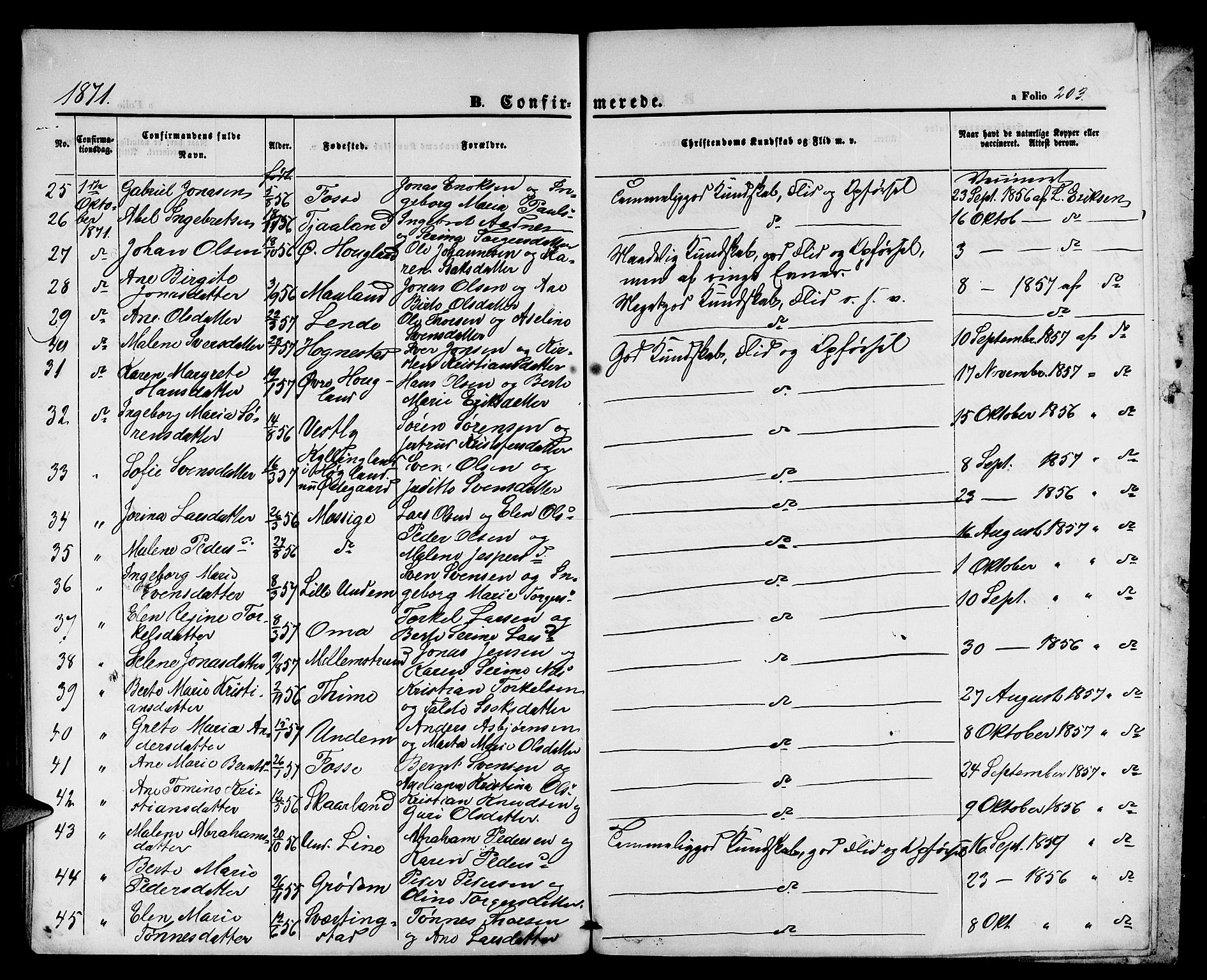 Lye sokneprestkontor, SAST/A-101794/001/30BB/L0004: Parish register (copy) no. B 4, 1868-1878, p. 203