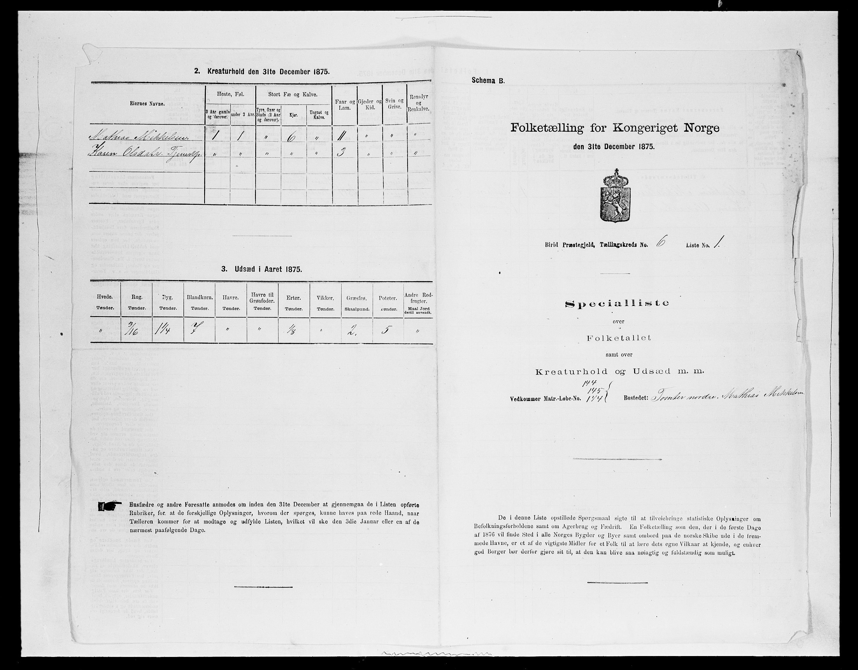 SAH, 1875 census for 0525P Biri, 1875, p. 1132