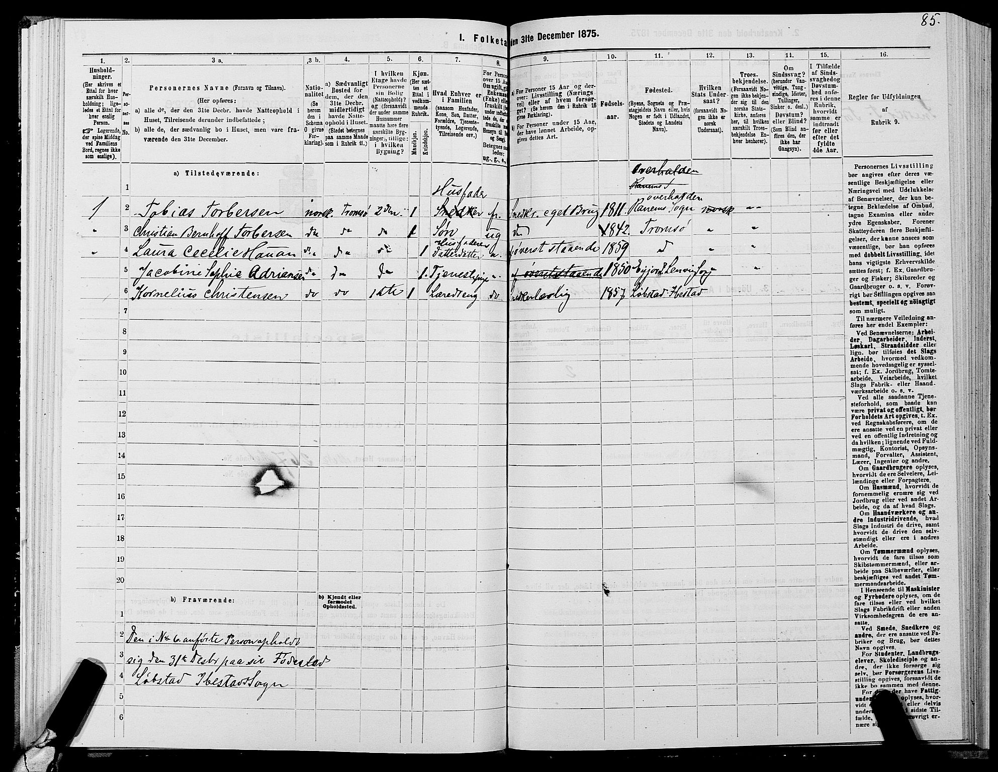 SATØ, 1875 census for 1902P Tromsø, 1875, p. 3085