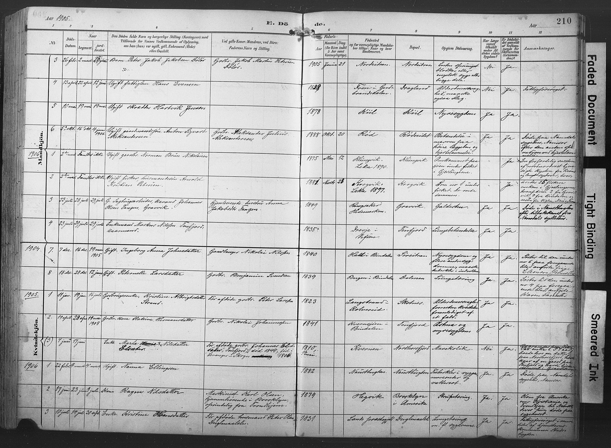 Ministerialprotokoller, klokkerbøker og fødselsregistre - Nord-Trøndelag, SAT/A-1458/789/L0706: Parish register (copy) no. 789C01, 1888-1931, p. 210