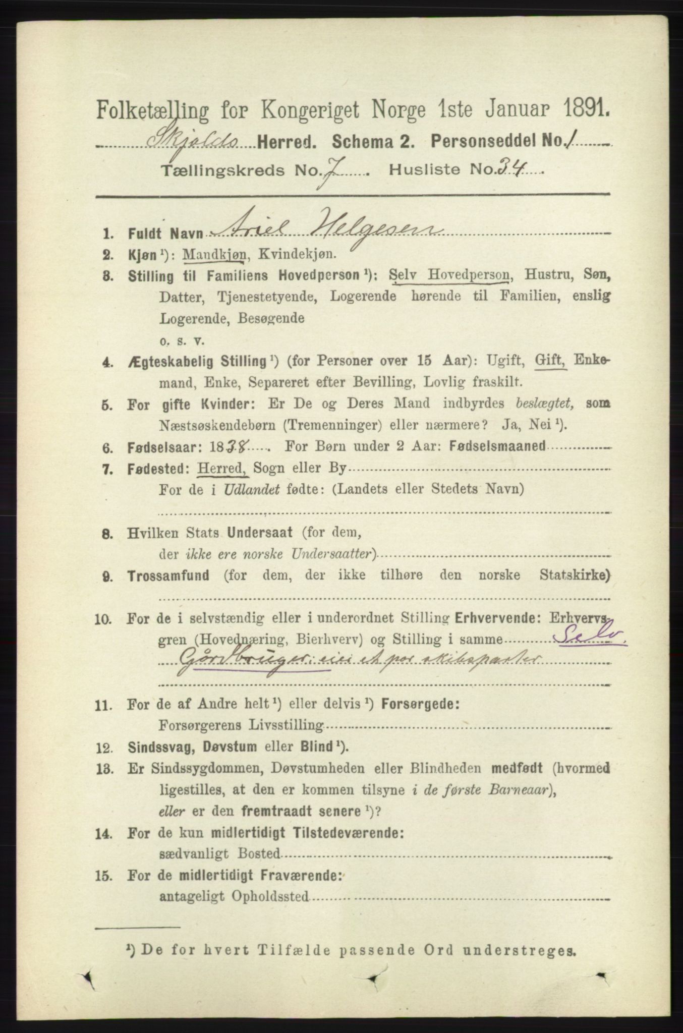 RA, 1891 census for 1154 Skjold, 1891, p. 1516