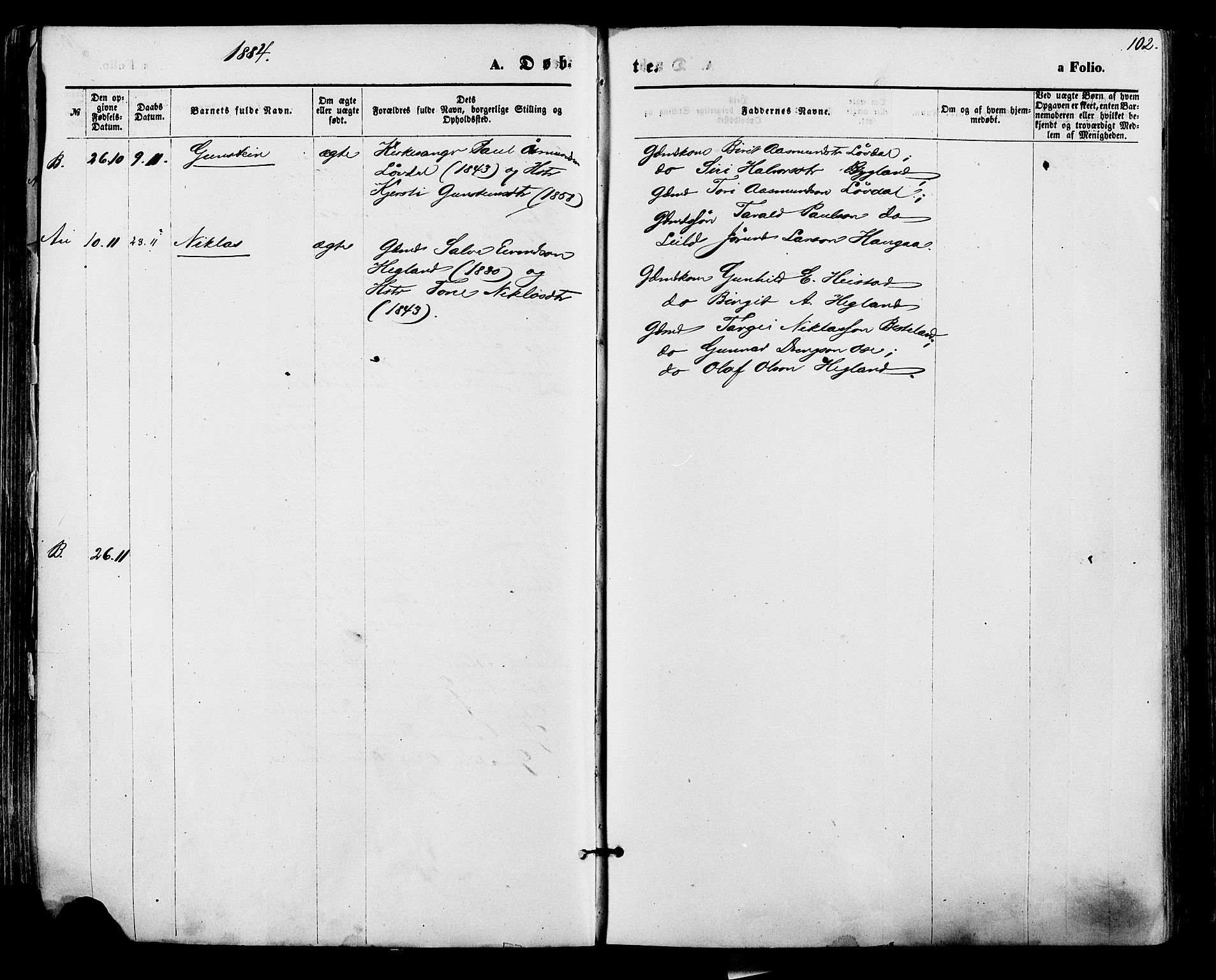 Bygland sokneprestkontor, AV/SAK-1111-0006/F/Fa/Fab/L0006: Parish register (official) no. A 6, 1873-1884, p. 102