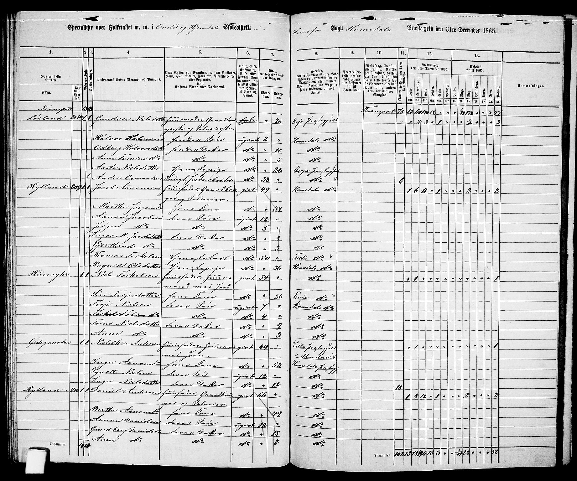 RA, 1865 census for Homedal, 1865, p. 156