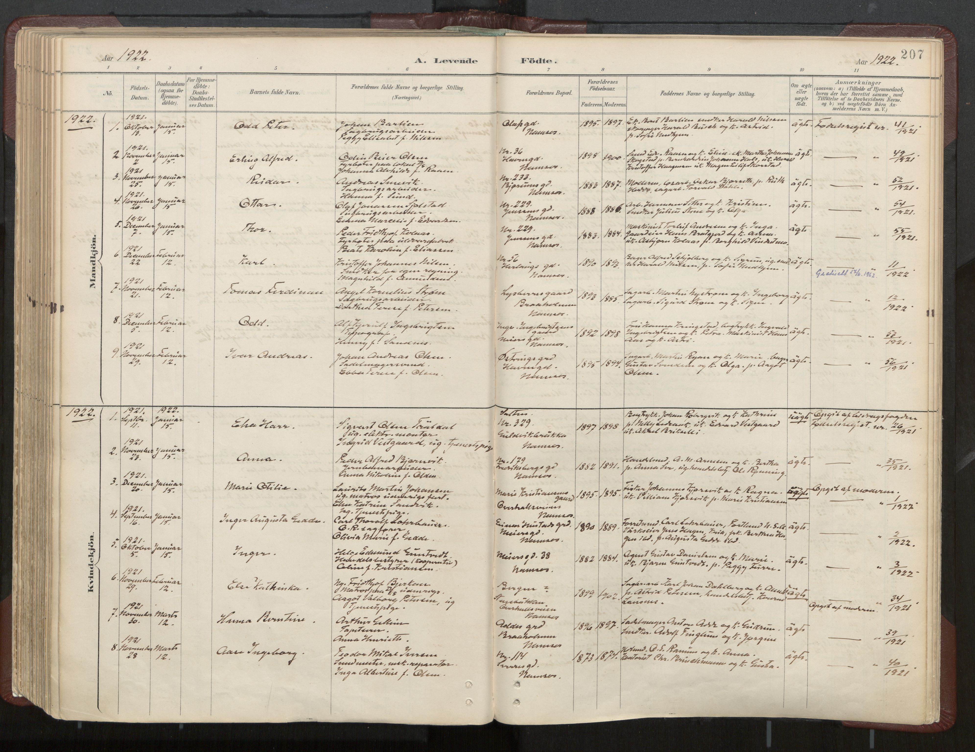 Ministerialprotokoller, klokkerbøker og fødselsregistre - Nord-Trøndelag, AV/SAT-A-1458/768/L0574: Parish register (official) no. 768A08, 1887-1927, p. 207