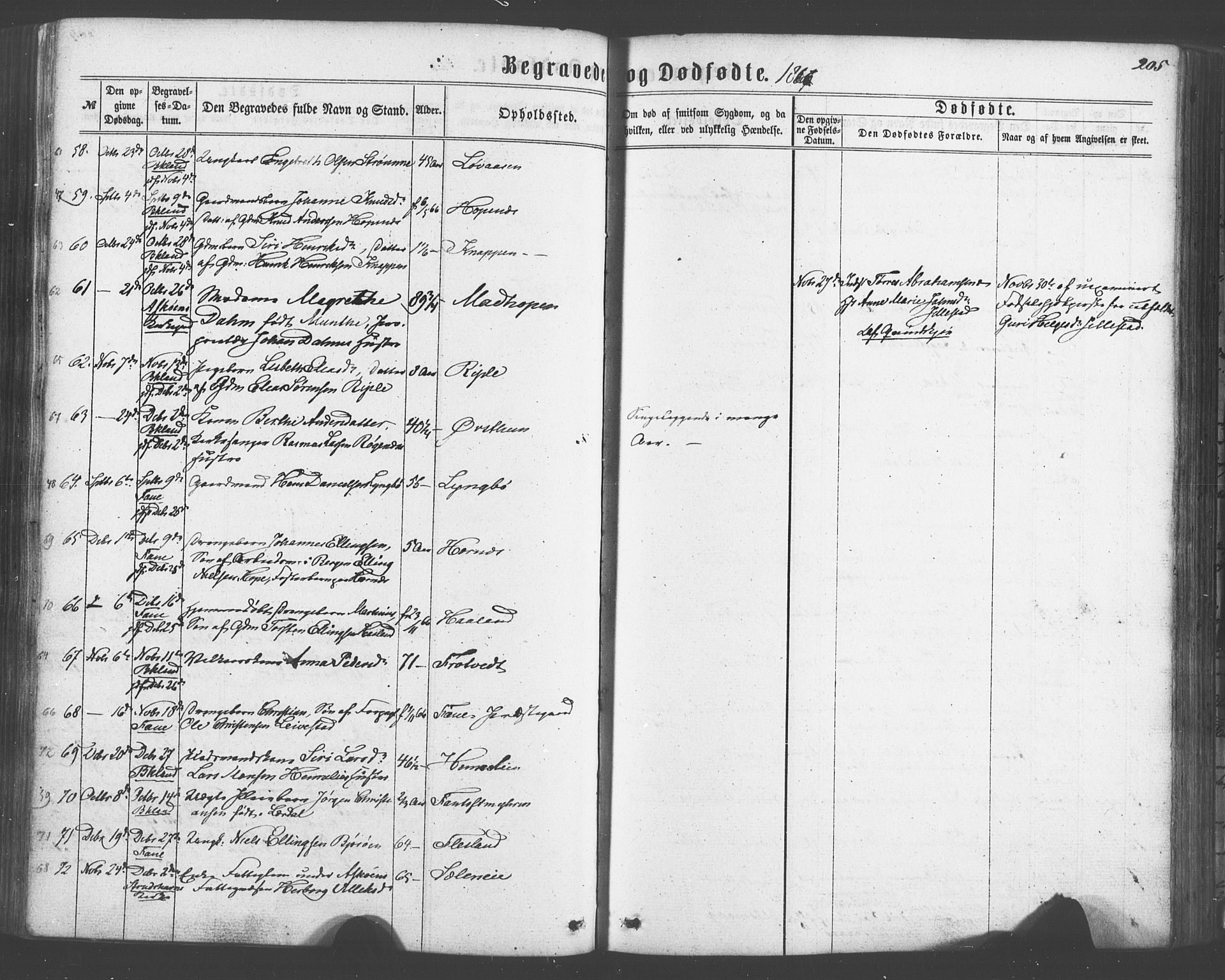 Fana Sokneprestembete, SAB/A-75101/H/Haa/Haaa/L0012: Parish register (official) no. A 12, 1862-1878, p. 205