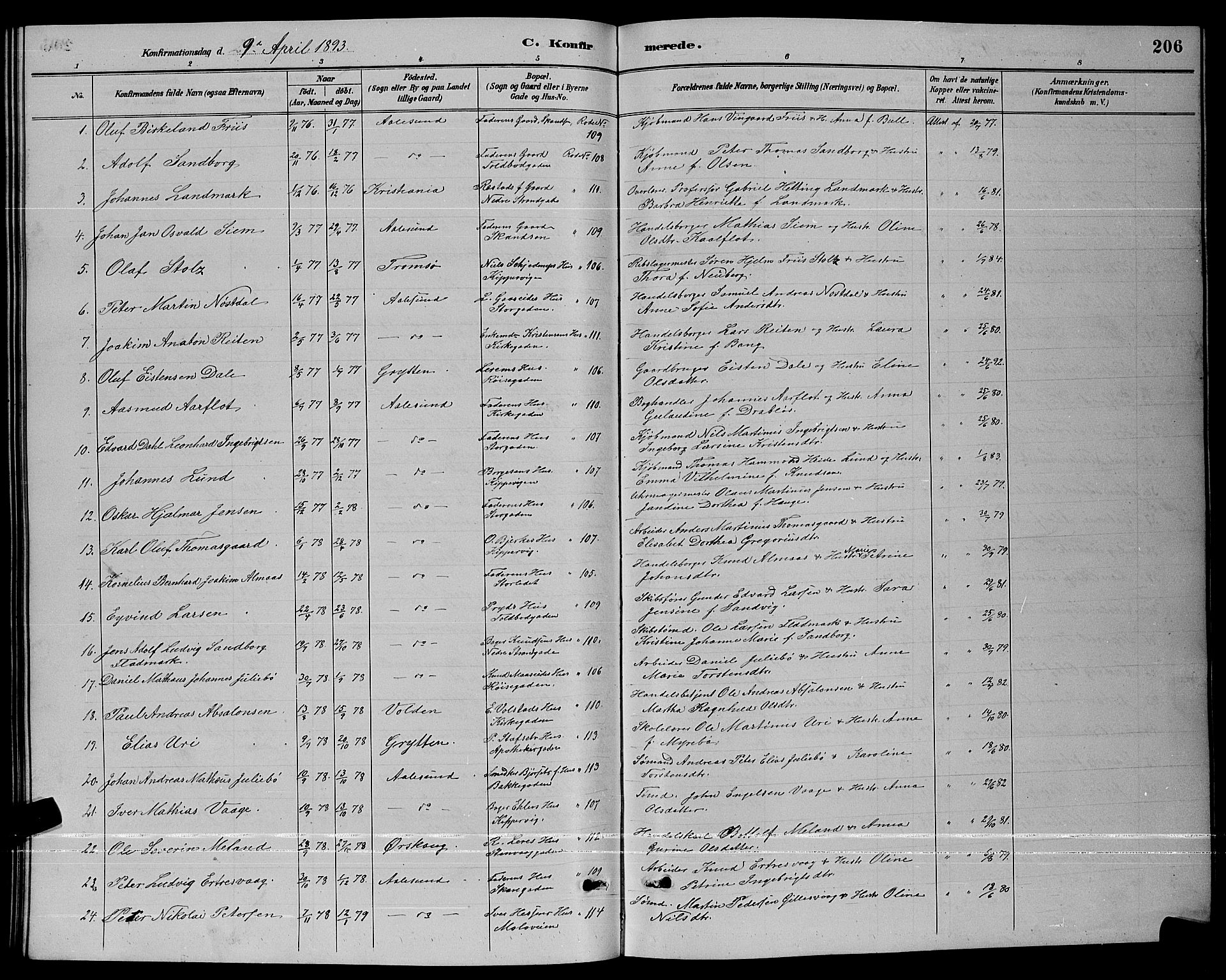 Ministerialprotokoller, klokkerbøker og fødselsregistre - Møre og Romsdal, AV/SAT-A-1454/529/L0467: Parish register (copy) no. 529C04, 1889-1897, p. 206