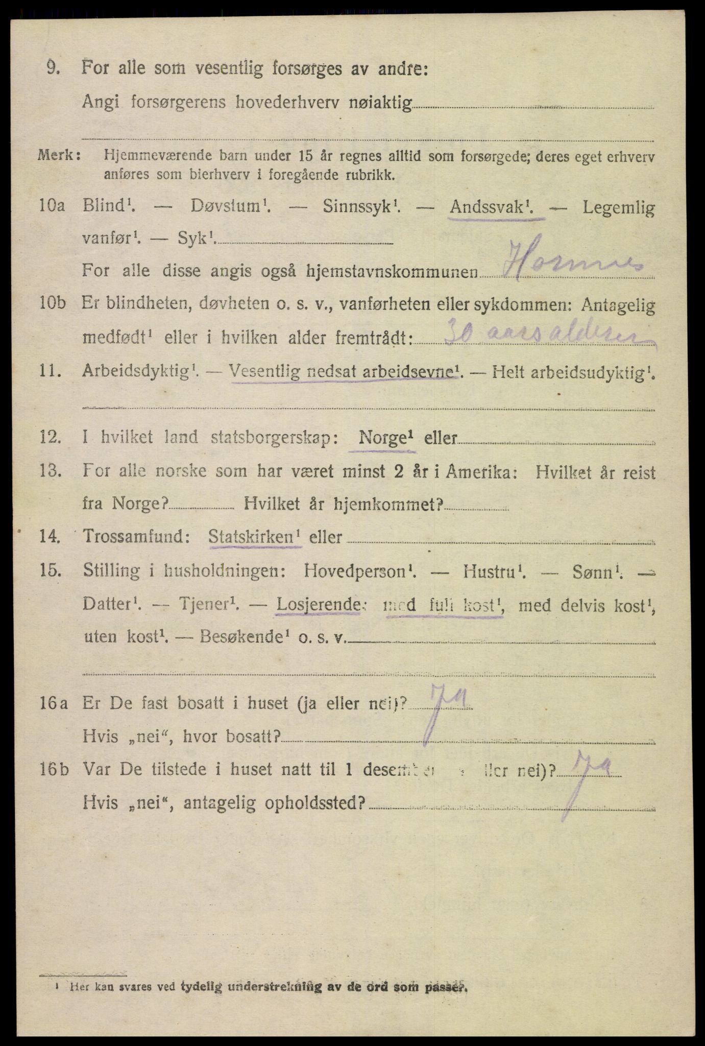 SAK, 1920 census for Hornnes, 1920, p. 1134