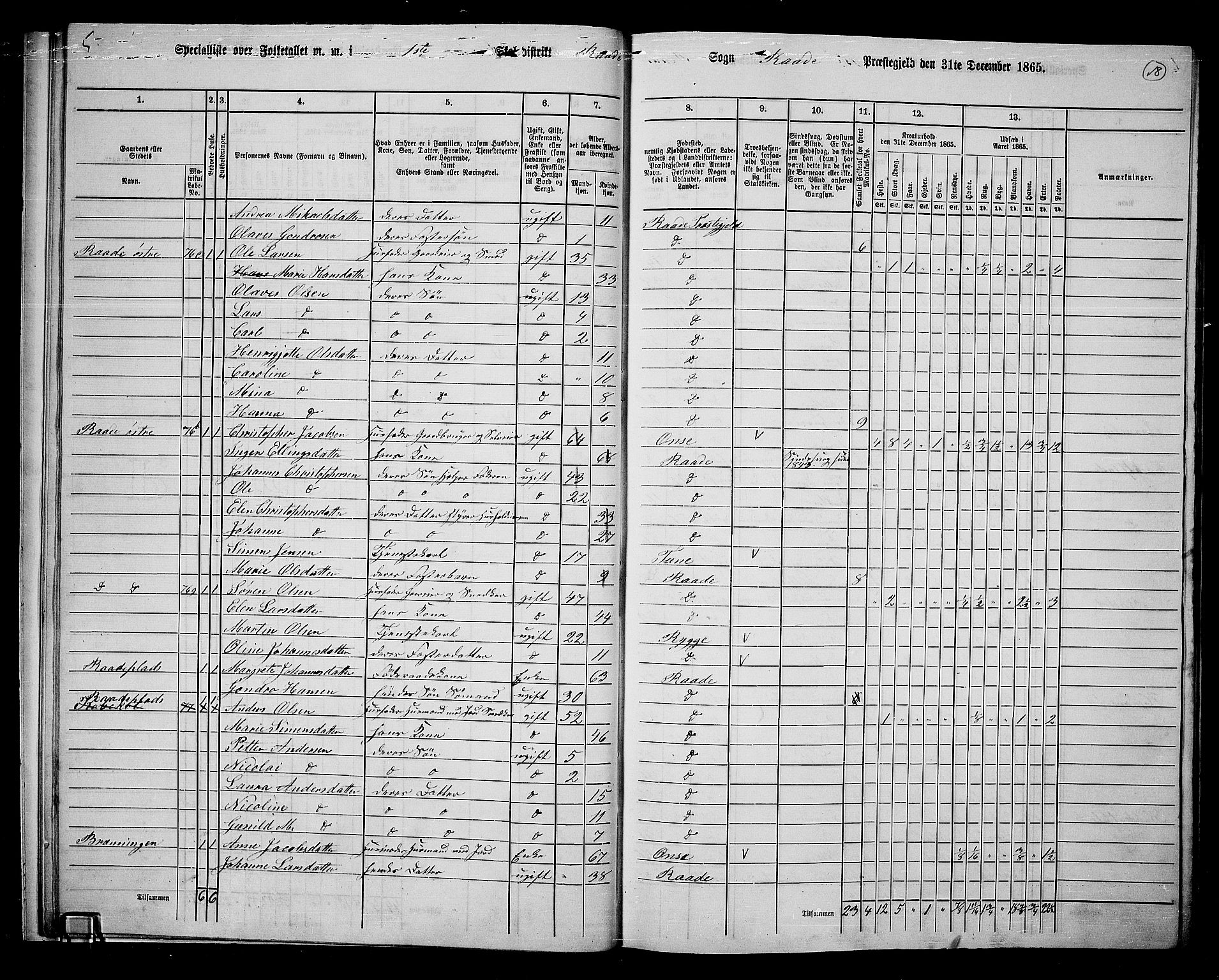 RA, 1865 census for Råde, 1865, p. 16