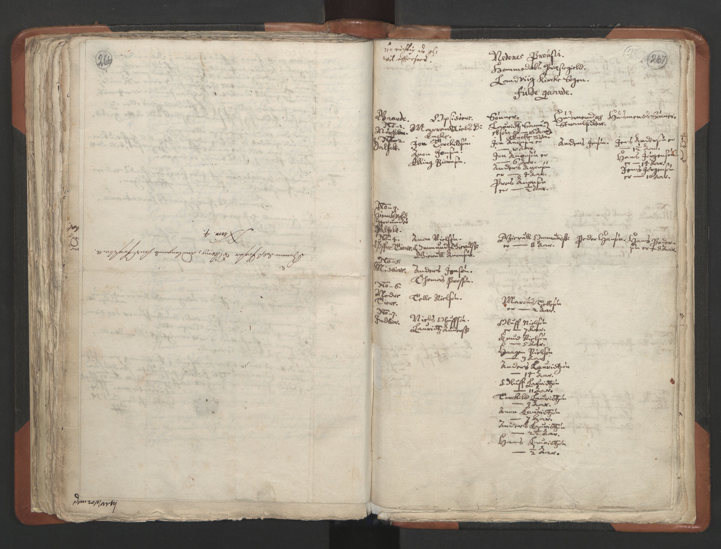 RA, Vicar's Census 1664-1666, no. 13: Nedenes deanery, 1664-1666, p. 266-267