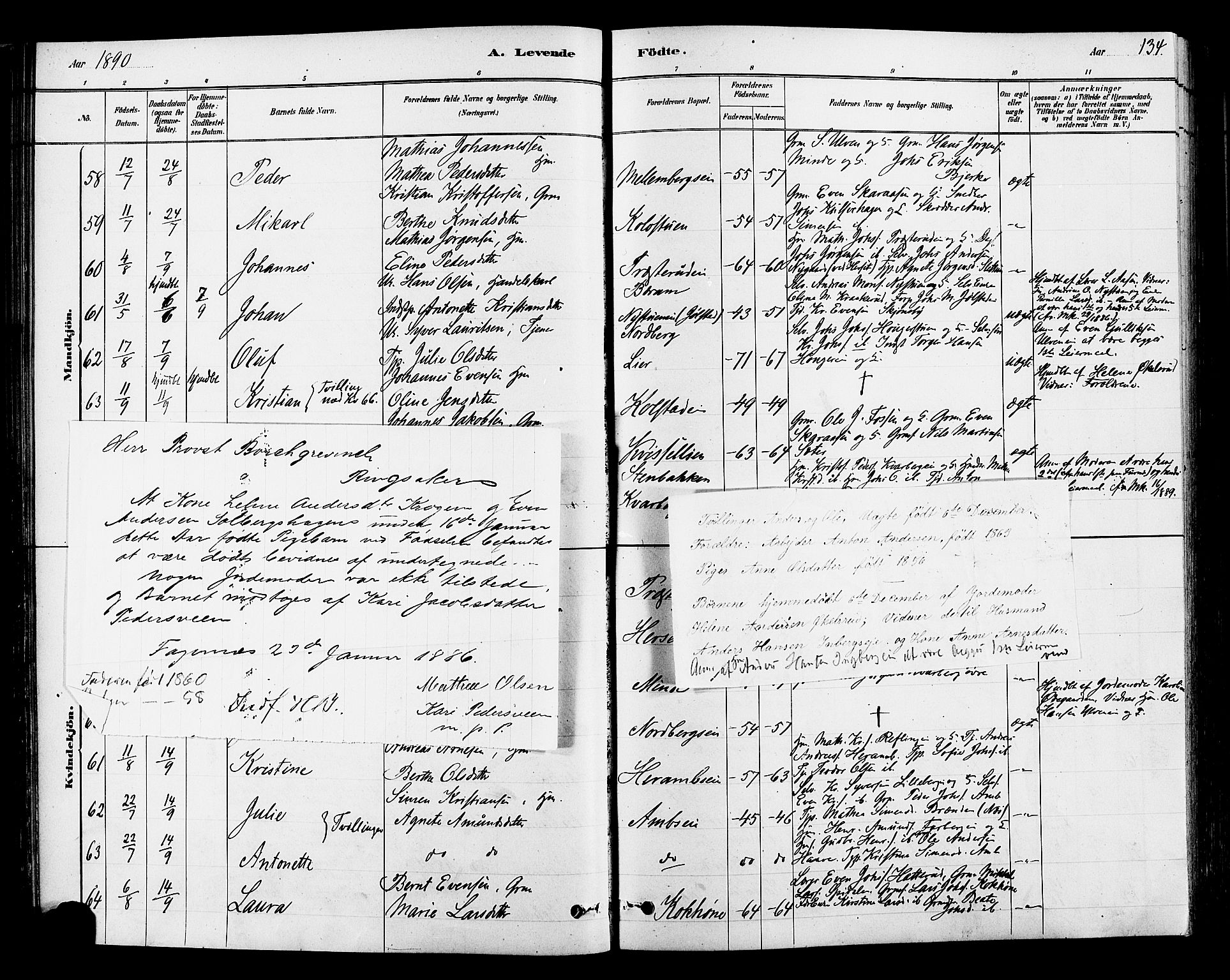 Ringsaker prestekontor, SAH/PREST-014/L/La/L0009: Parish register (copy) no. 9, 1879-1890, p. 134