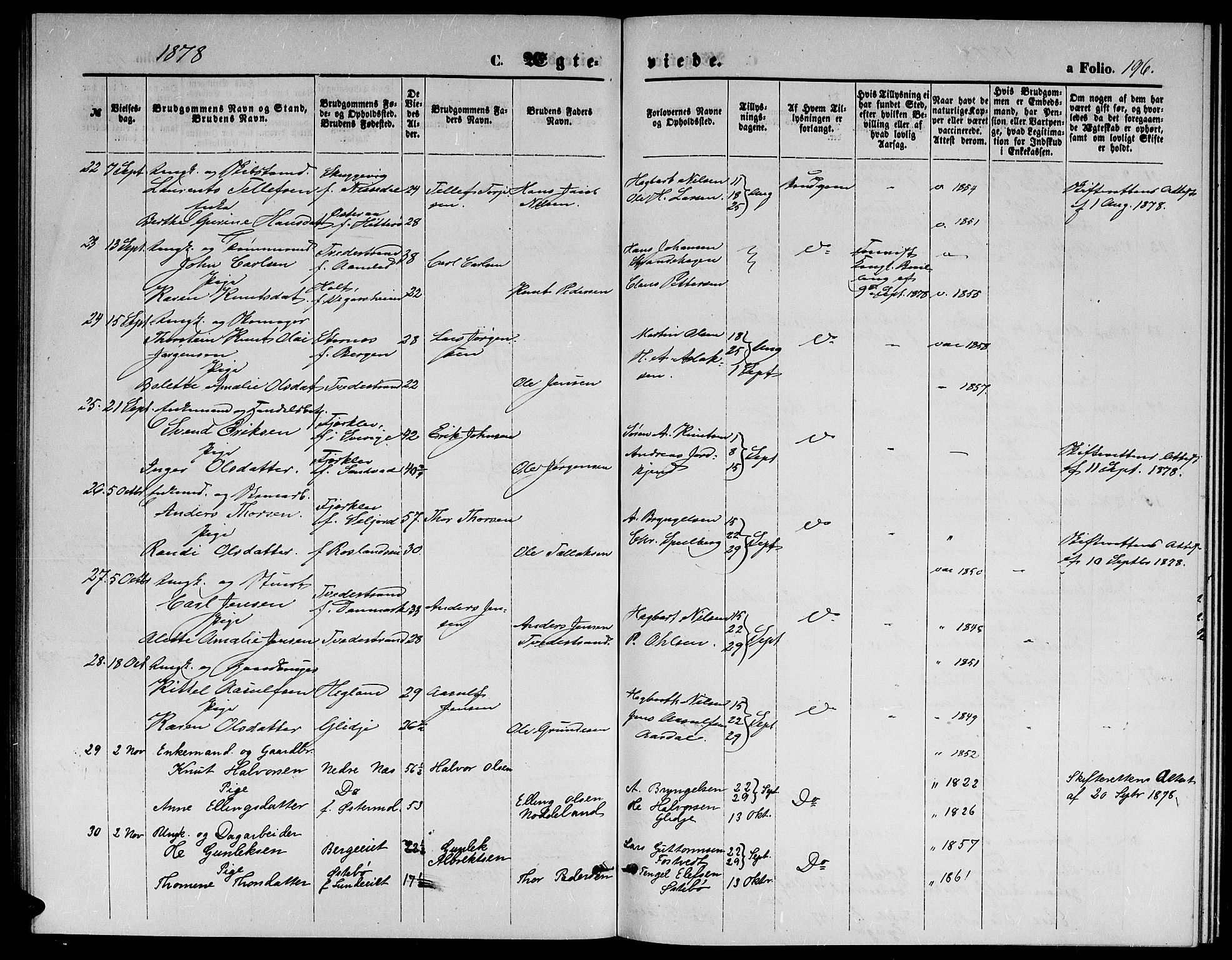 Holt sokneprestkontor, SAK/1111-0021/F/Fb/L0009: Parish register (copy) no. B 9, 1871-1883, p. 196