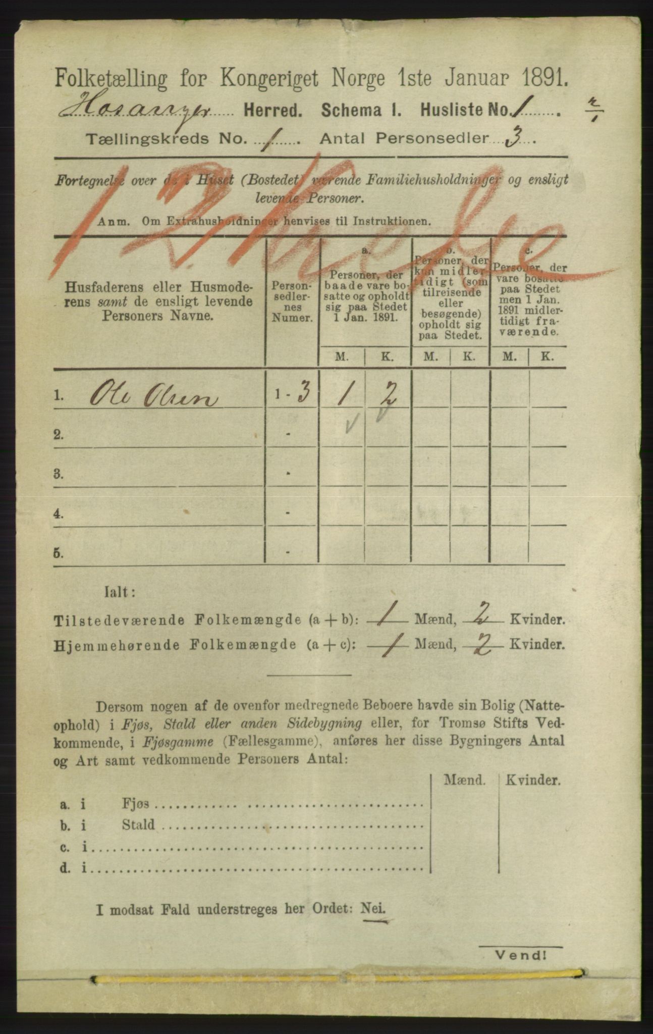 RA, 1891 census for 1253 Hosanger, 1891, p. 30