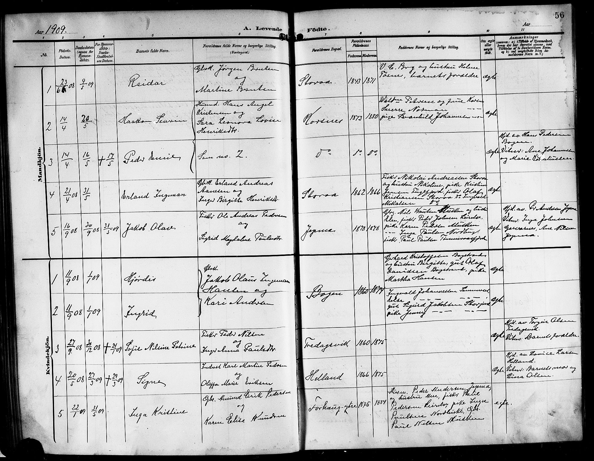 Ministerialprotokoller, klokkerbøker og fødselsregistre - Nordland, AV/SAT-A-1459/861/L0877: Parish register (copy) no. 861C03, 1903-1919, p. 56