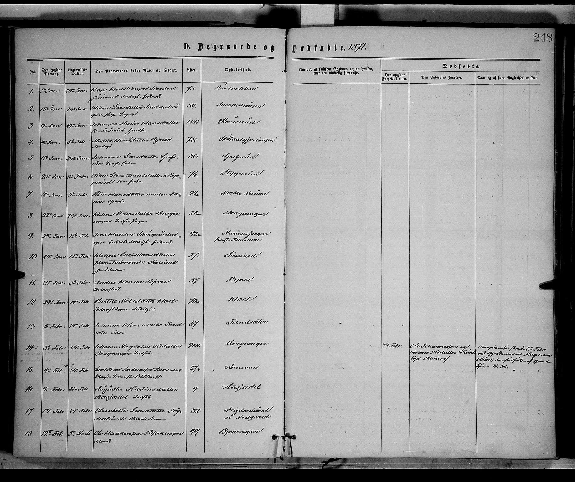 Vestre Toten prestekontor, SAH/PREST-108/H/Ha/Haa/L0008: Parish register (official) no. 8, 1870-1877, p. 248