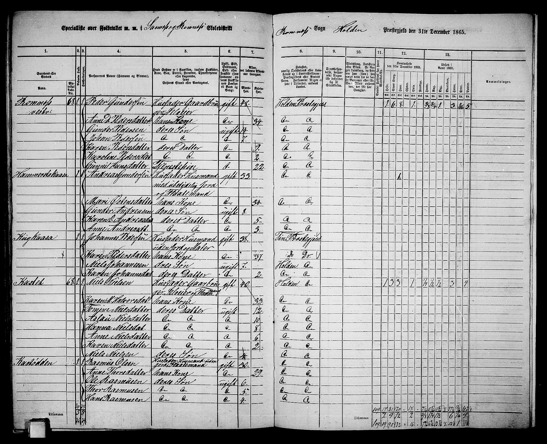 RA, 1865 census for Holla, 1865, p. 151