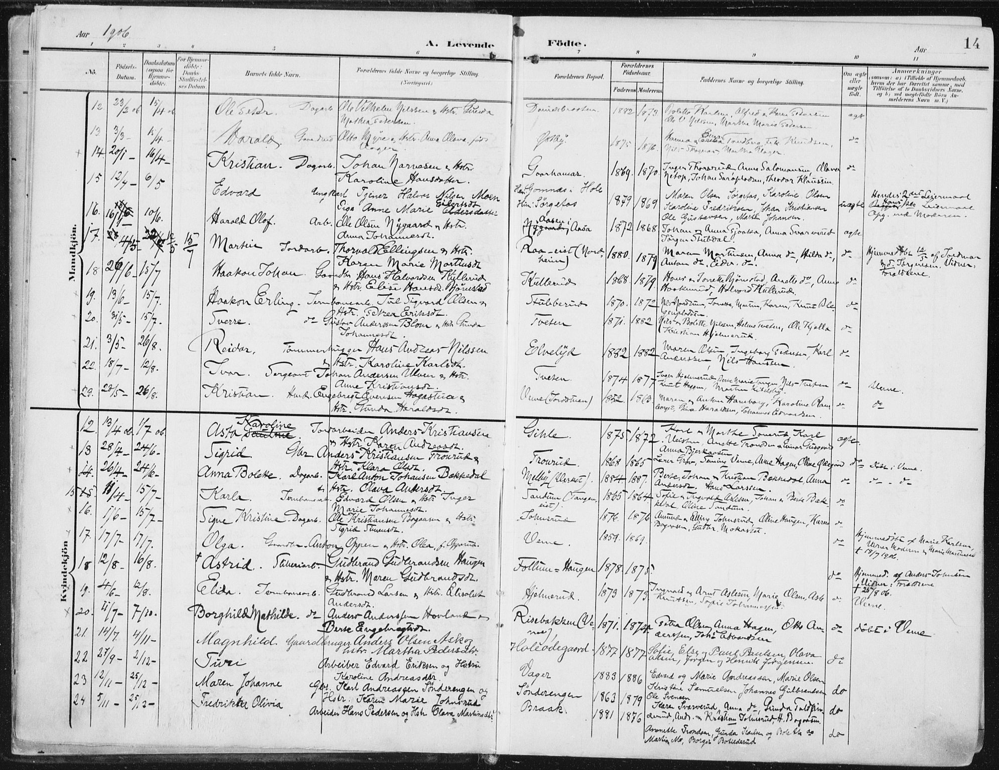 Norderhov kirkebøker, AV/SAKO-A-237/F/Fa/L0017: Parish register (official) no. 17, 1903-1919, p. 14