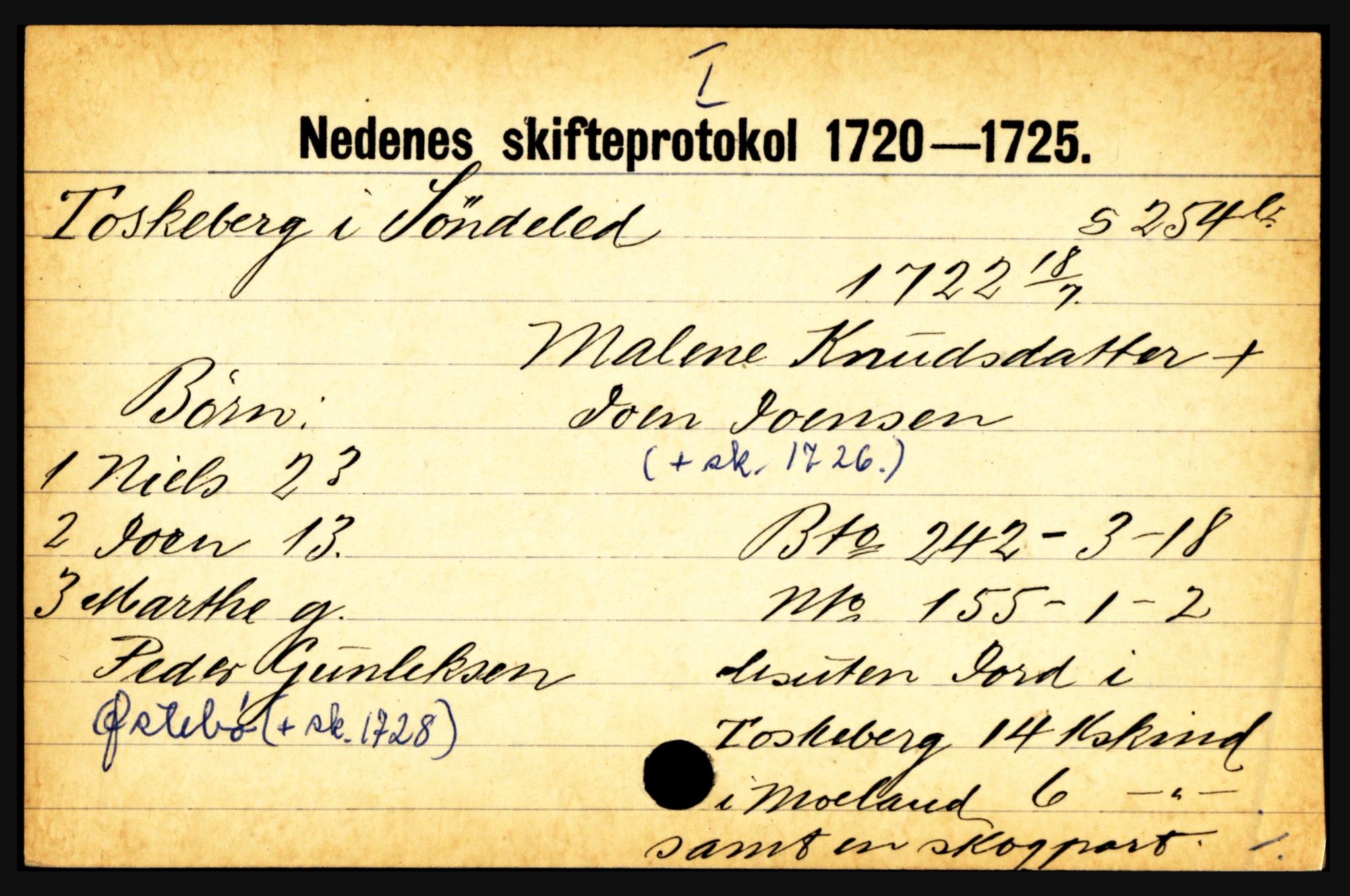 Nedenes sorenskriveri før 1824, AV/SAK-1221-0007/H, p. 30431