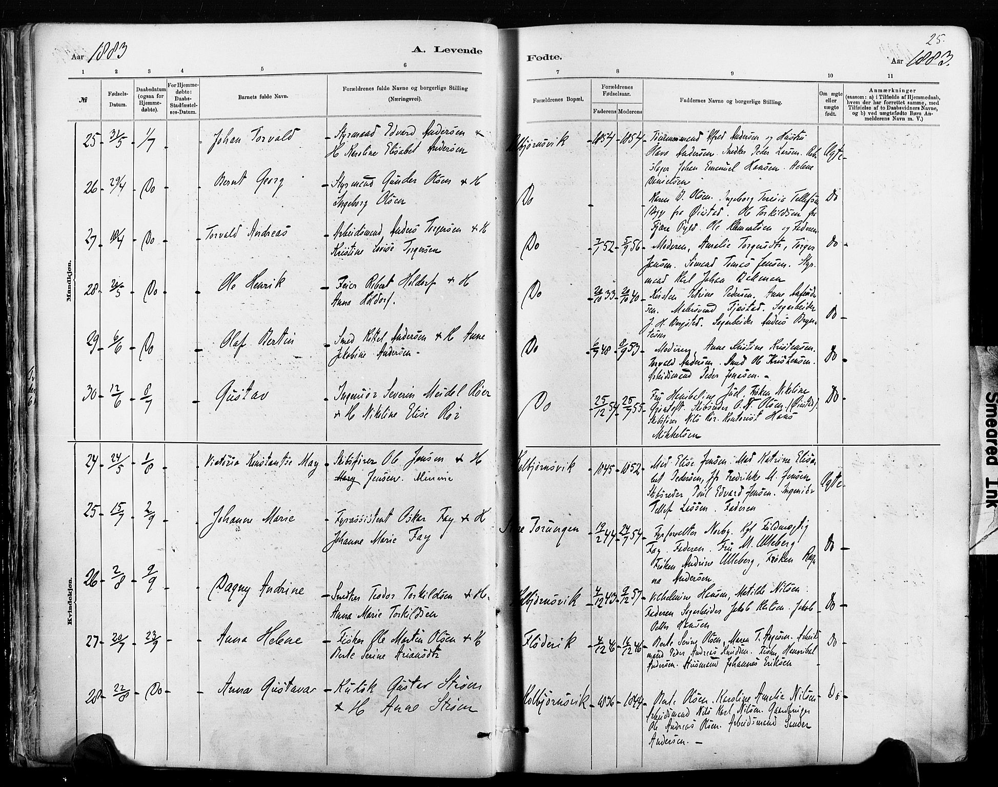 Hisøy sokneprestkontor, AV/SAK-1111-0020/F/Fa/L0003: Parish register (official) no. A 3, 1881-1894, p. 25