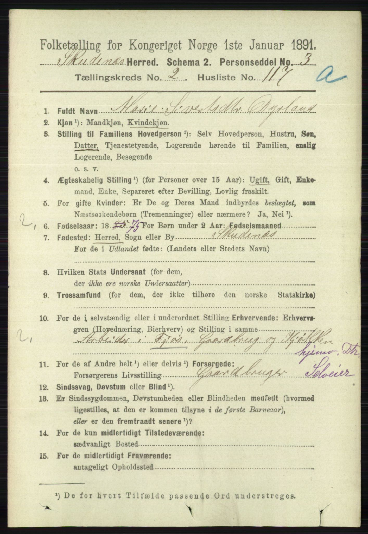 RA, 1891 census for 1150 Skudenes, 1891, p. 1324