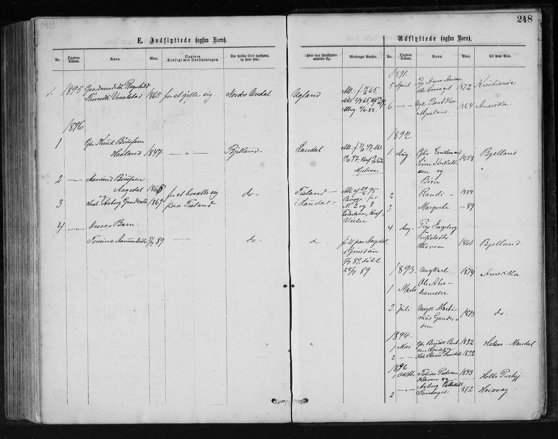 Holum sokneprestkontor, SAK/1111-0022/F/Fb/Fbb/L0003: Parish register (copy) no. B 3, 1875-1898, p. 248