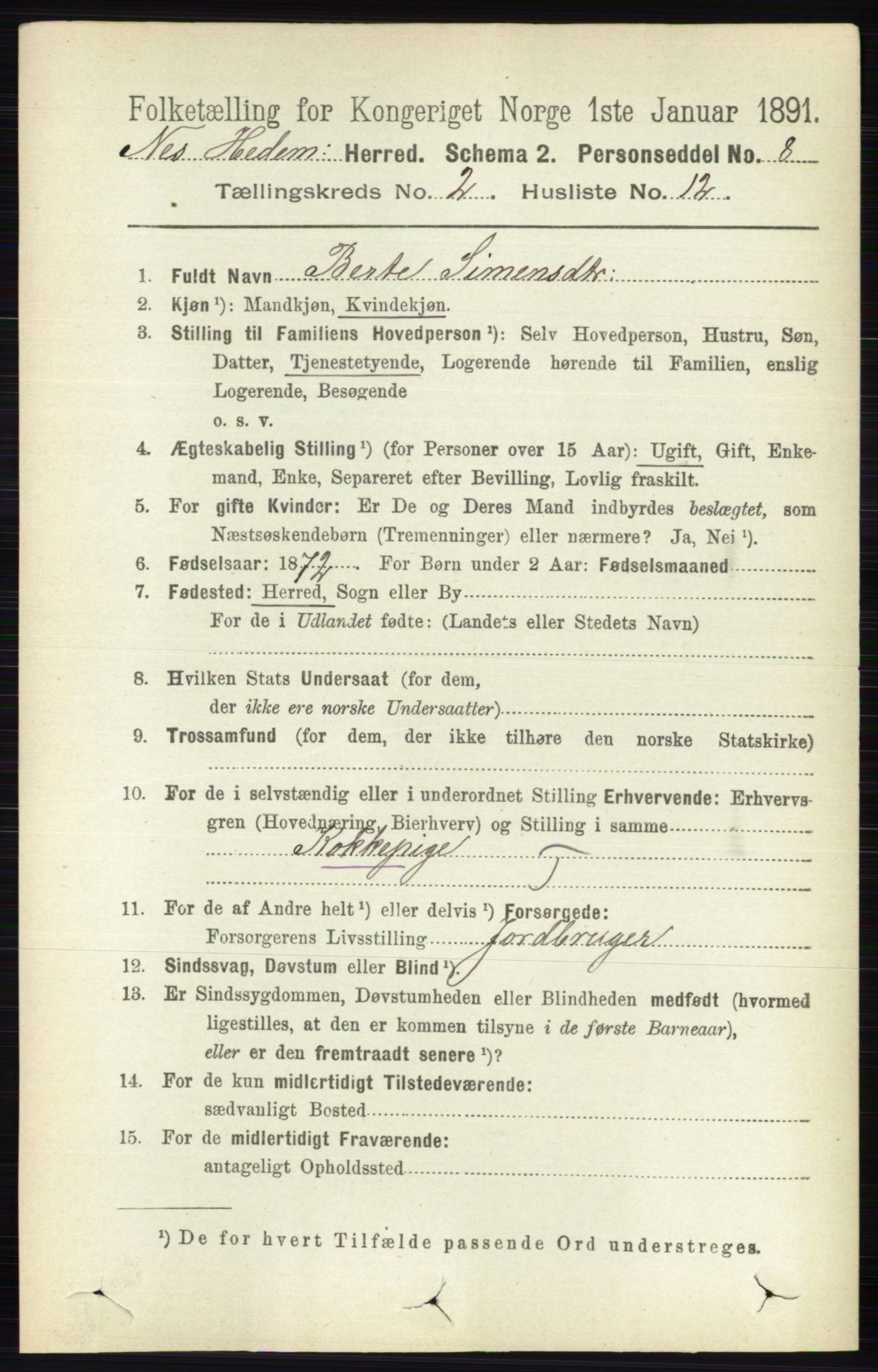 RA, 1891 census for 0411 Nes, 1891, p. 1143
