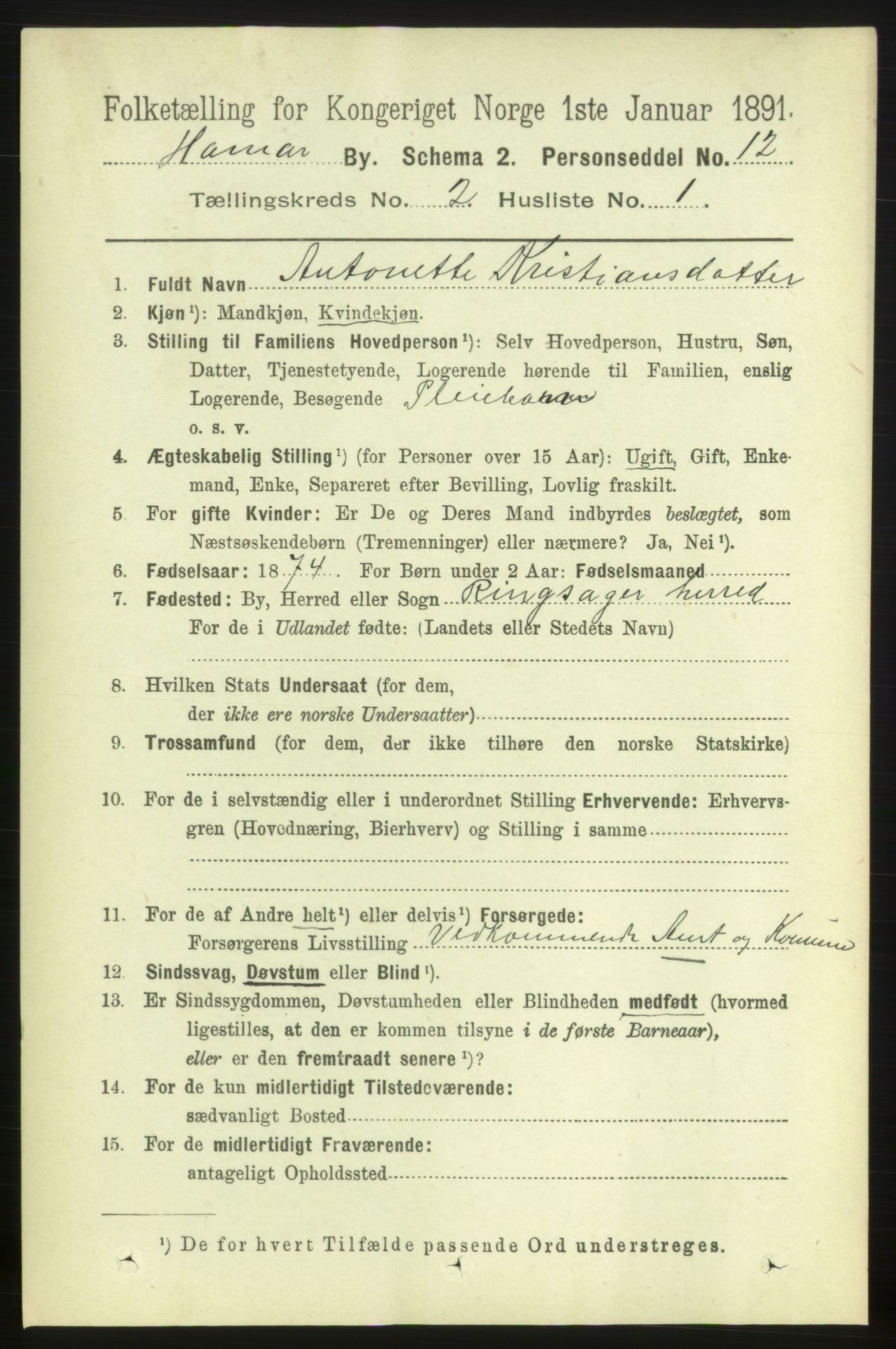 RA, 1891 census for 0401 Hamar, 1891, p. 977