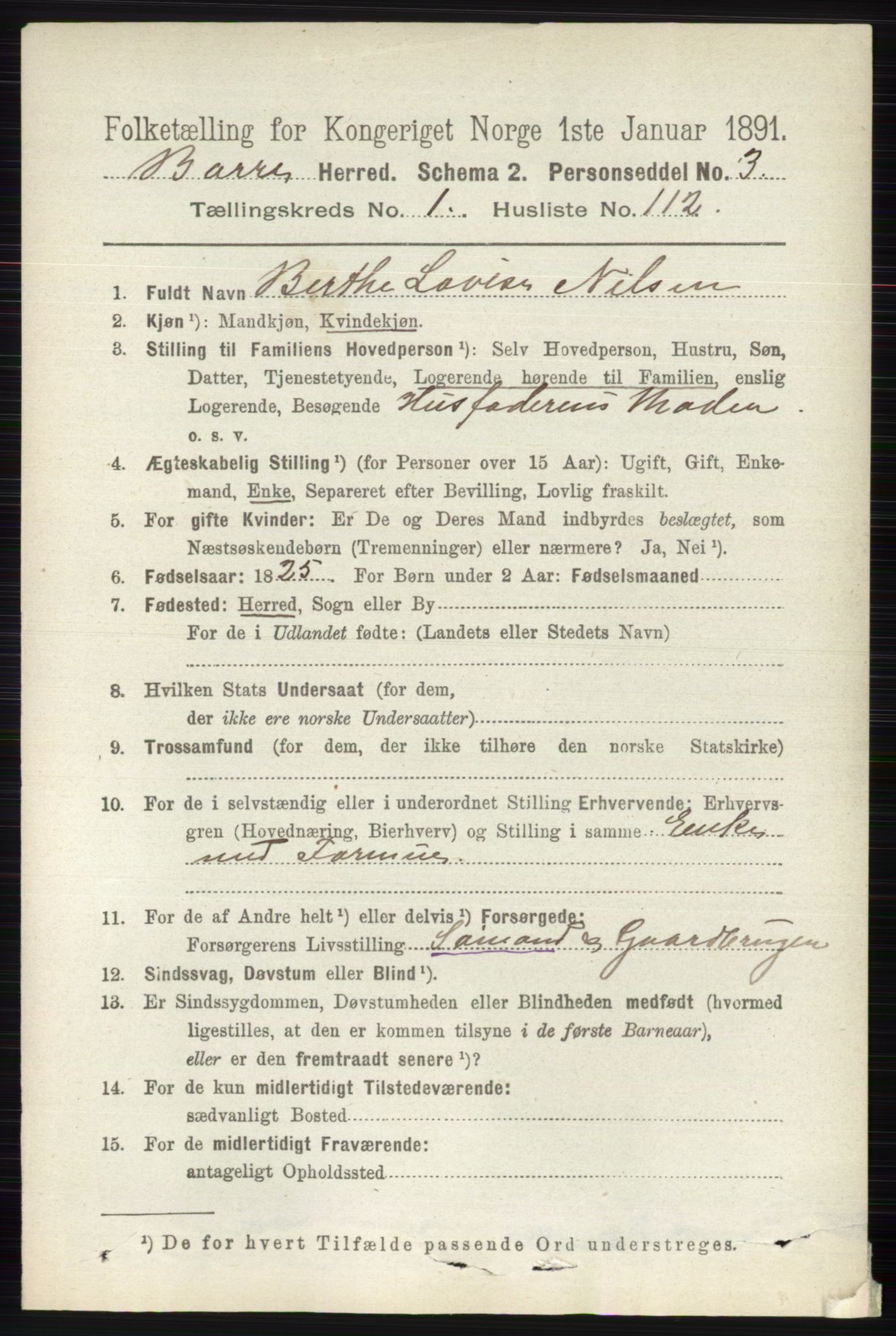 RA, 1891 census for 0717 Borre, 1891, p. 743