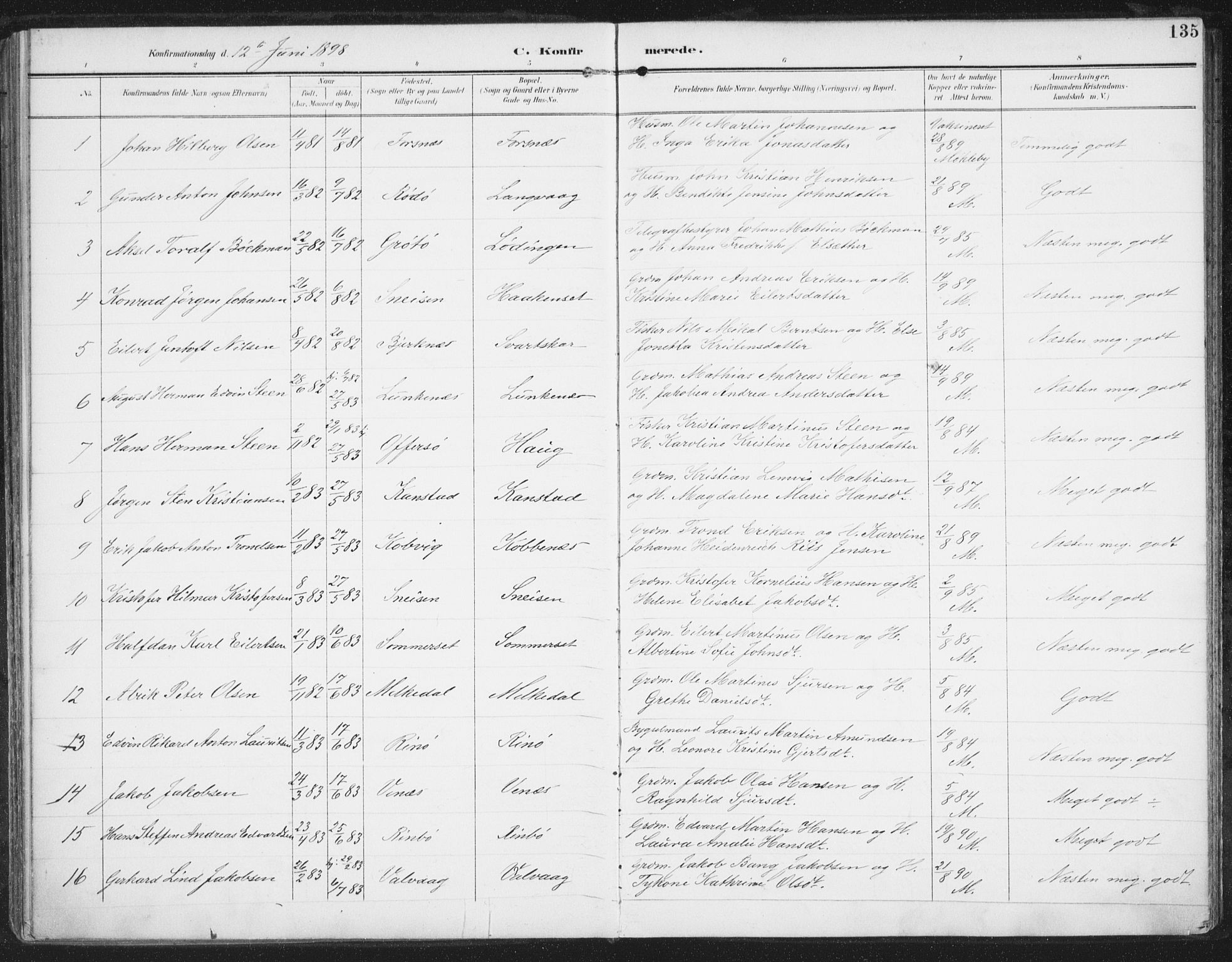 Ministerialprotokoller, klokkerbøker og fødselsregistre - Nordland, AV/SAT-A-1459/872/L1036: Parish register (official) no. 872A11, 1897-1913, p. 135