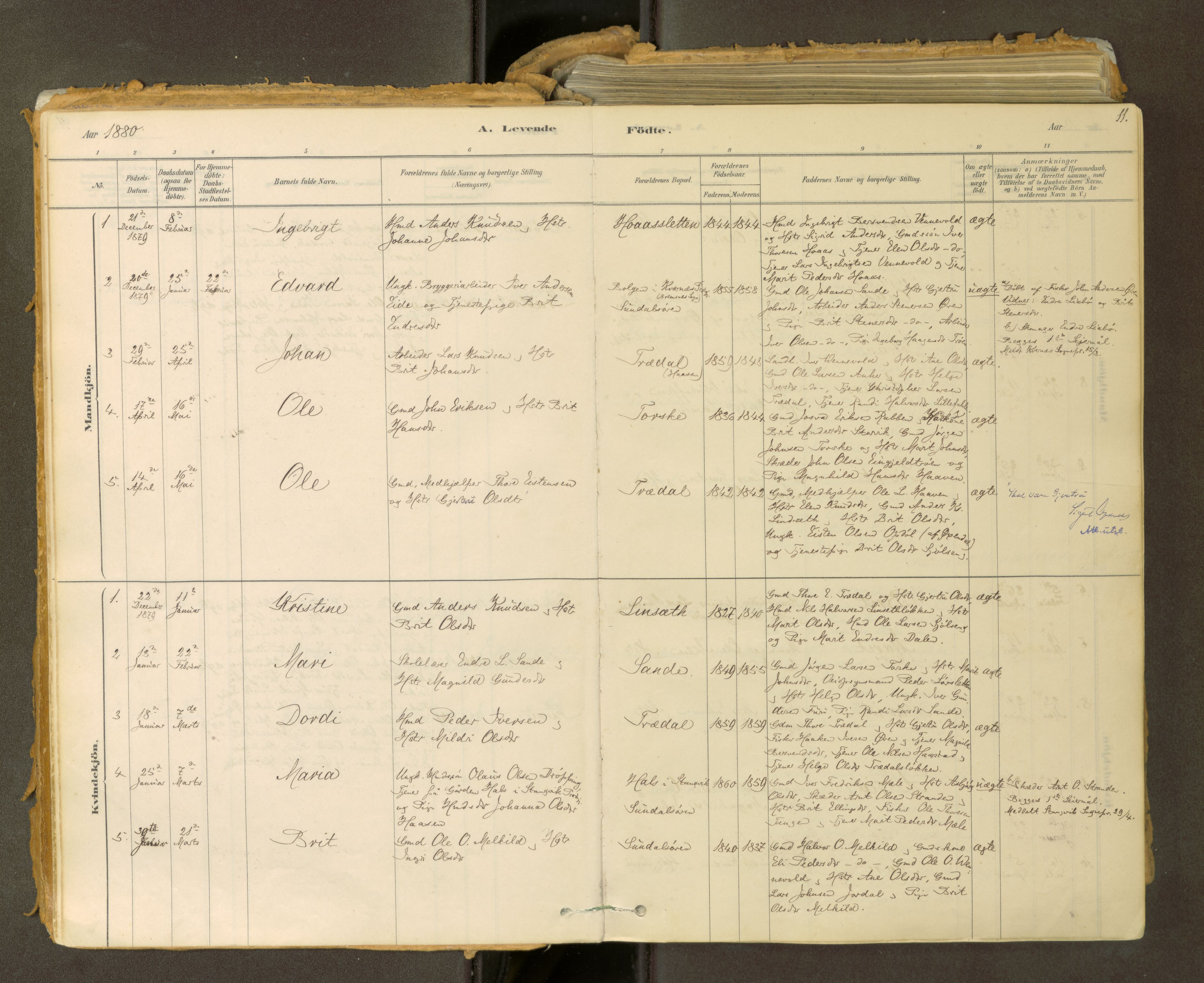 Sunndal sokneprestkontor, SAT/A-1085/1/I/I1/I1a: Parish register (official) no. 2, 1877-1914, p. 11