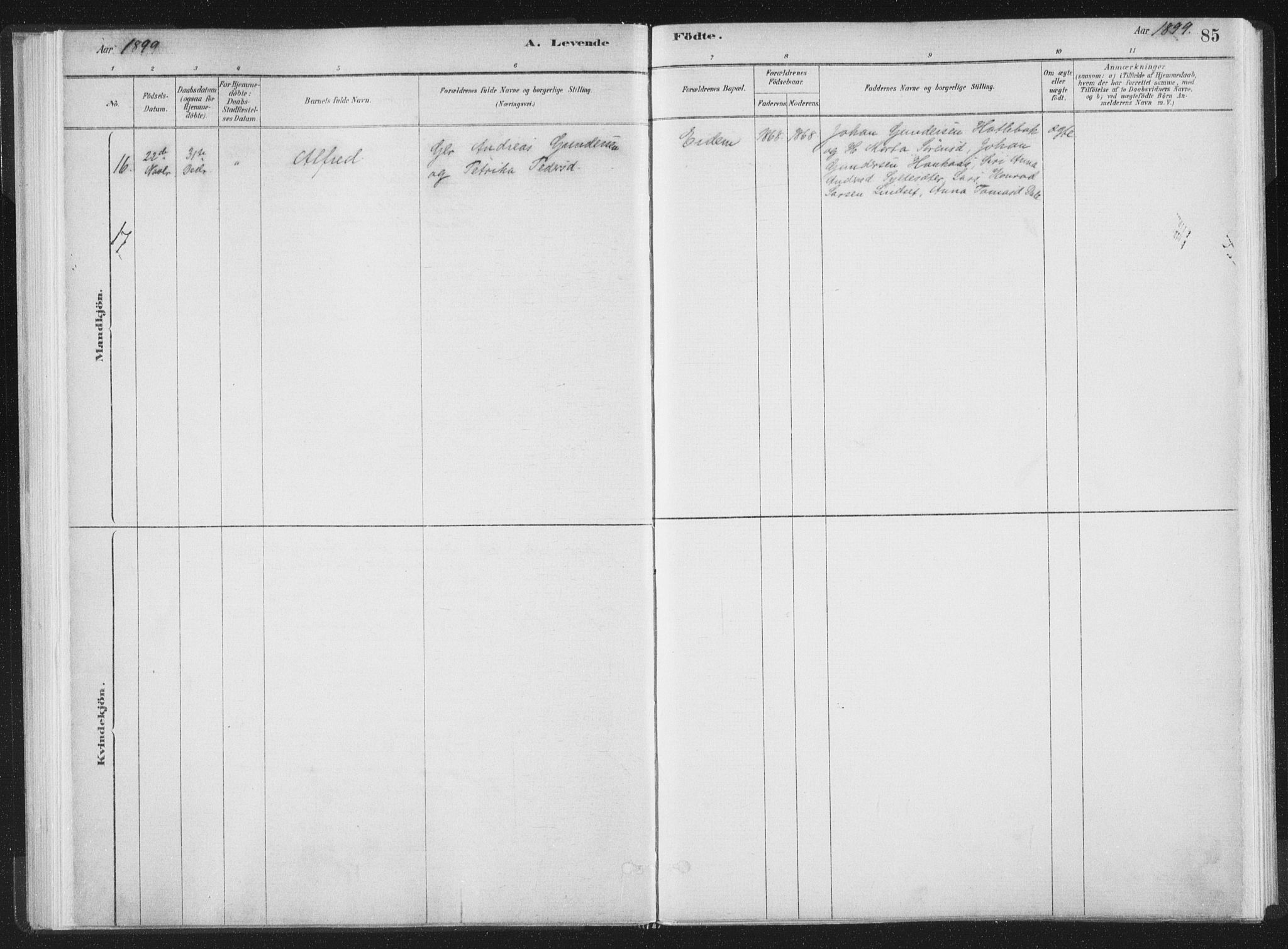 Ministerialprotokoller, klokkerbøker og fødselsregistre - Møre og Romsdal, AV/SAT-A-1454/564/L0740: Parish register (official) no. 564A01, 1880-1899, p. 85