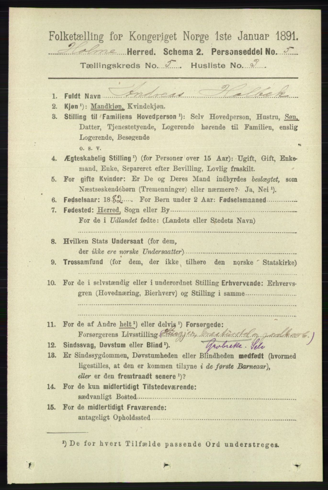 RA, 1891 census for 1020 Holum, 1891, p. 1248