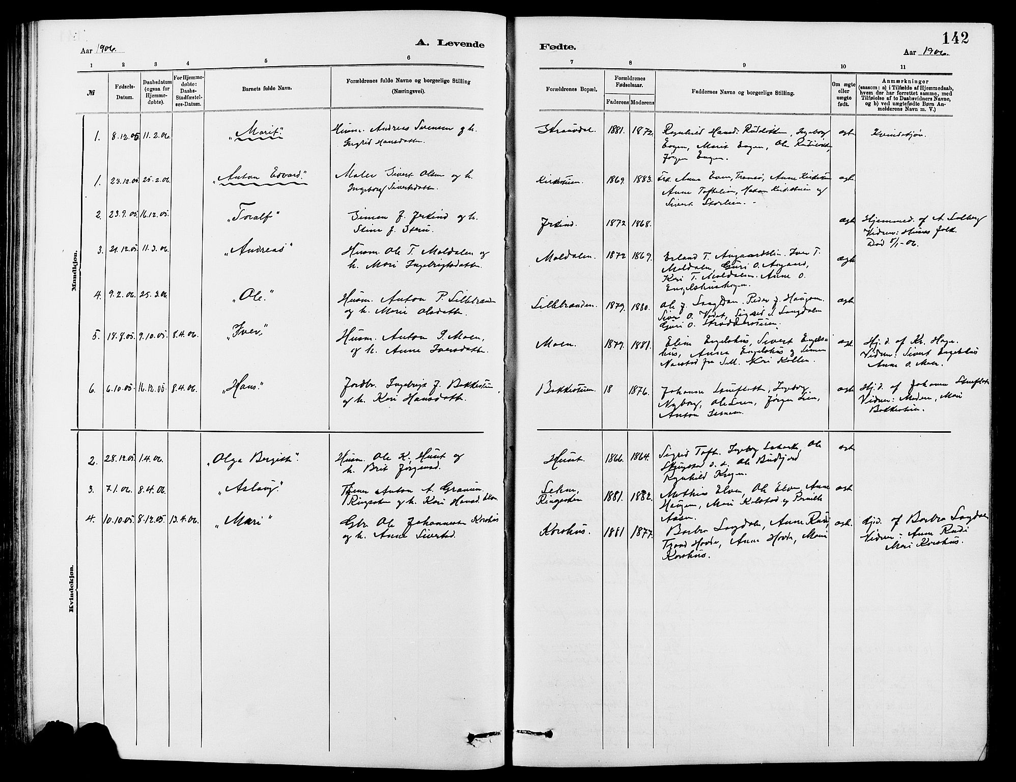 Dovre prestekontor, SAH/PREST-066/H/Ha/Hab/L0002: Parish register (copy) no. 2, 1881-1907, p. 142
