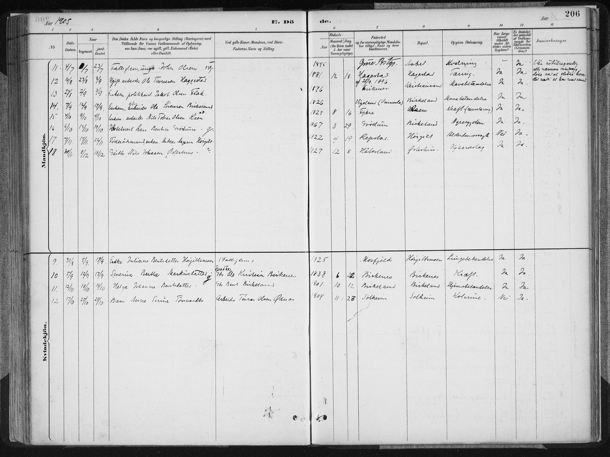 Birkenes sokneprestkontor, SAK/1111-0004/F/Fa/L0005: Parish register (official) no. A 5, 1887-1907, p. 206