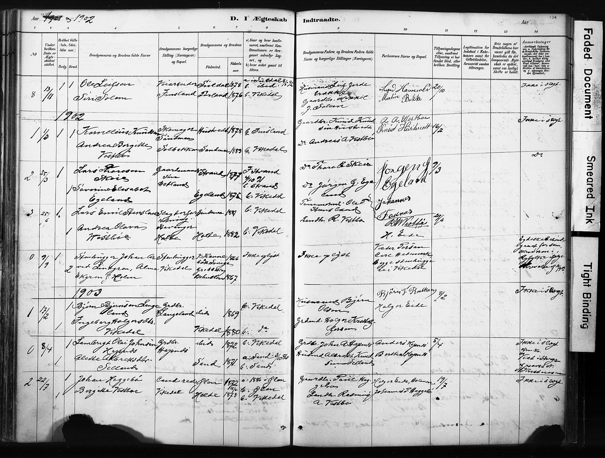 Vikedal sokneprestkontor, AV/SAST-A-101840/01/IV: Parish register (official) no. A 10, 1884-1907, p. 124