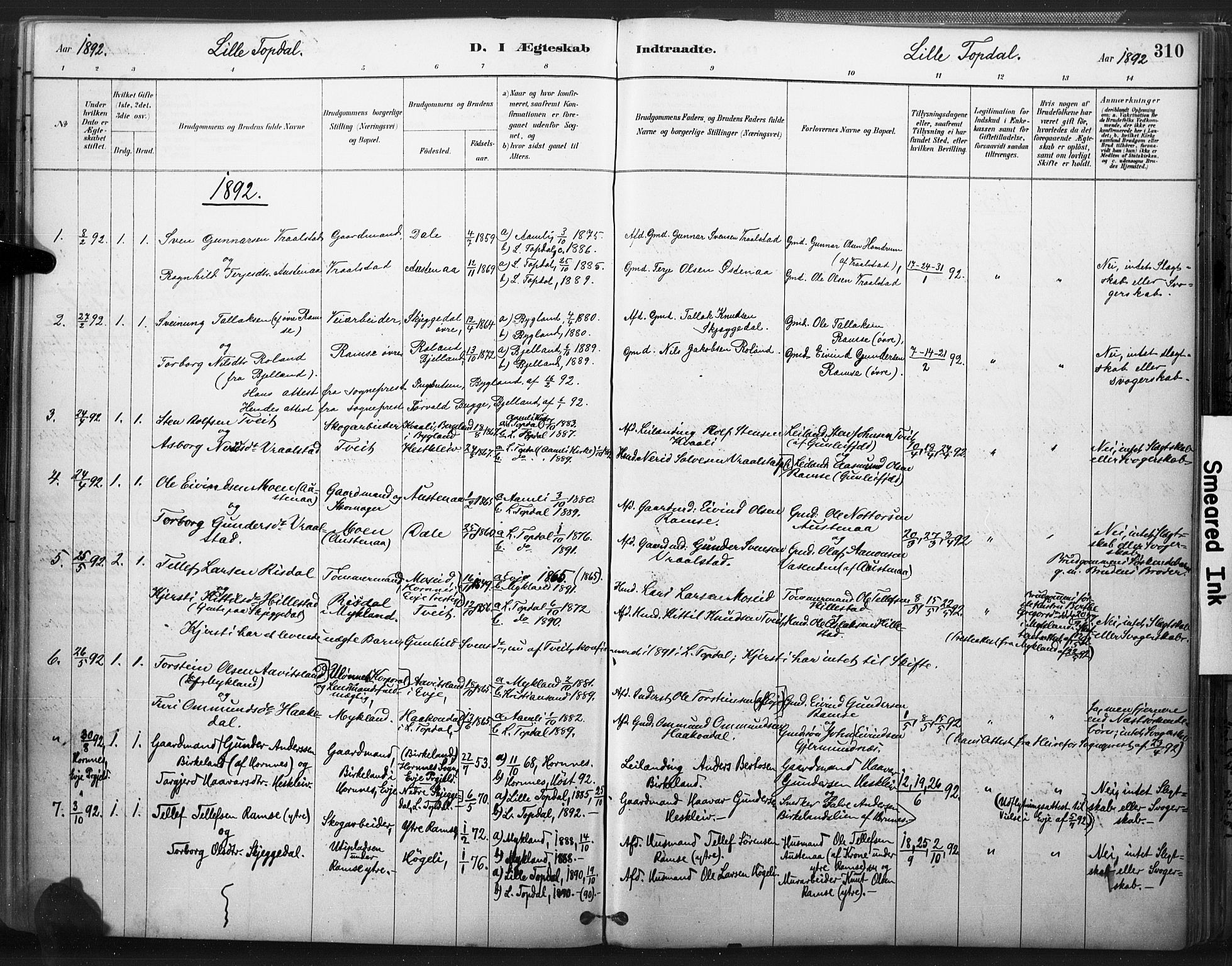 Åmli sokneprestkontor, AV/SAK-1111-0050/F/Fa/Fac/L0010: Parish register (official) no. A 10 /3, 1885-1899, p. 310