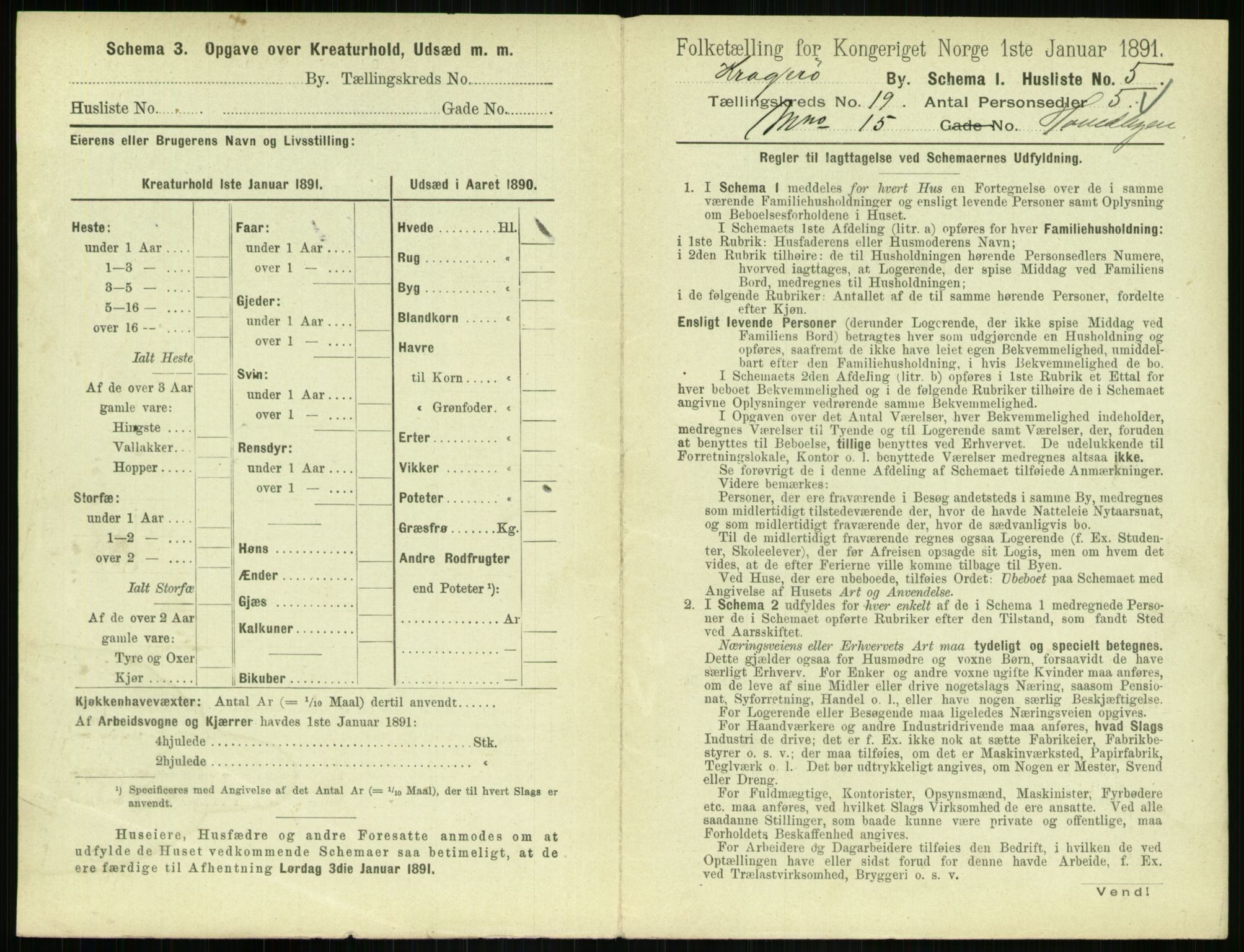 RA, 1891 census for 0801 Kragerø, 1891, p. 804