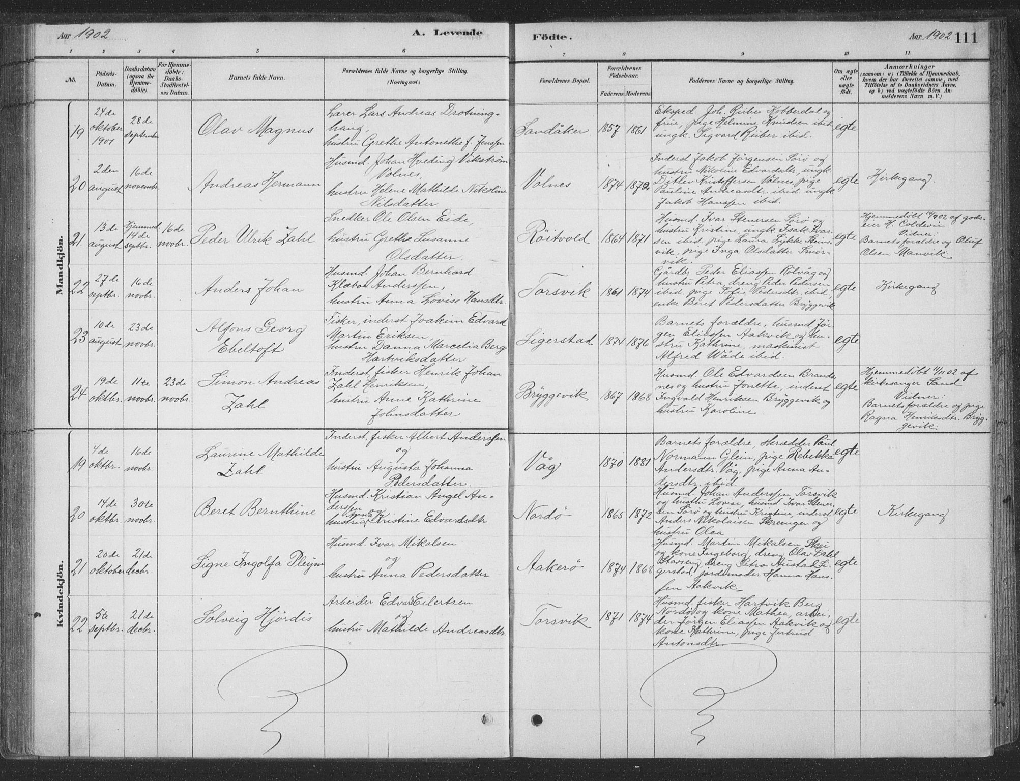 Ministerialprotokoller, klokkerbøker og fødselsregistre - Nordland, AV/SAT-A-1459/835/L0532: Parish register (copy) no. 835C04, 1880-1905, p. 111