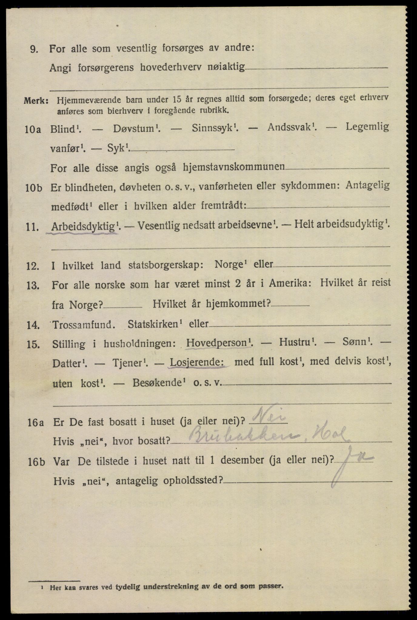 SAKO, 1920 census for Hol (Buskerud), 1920, p. 1194