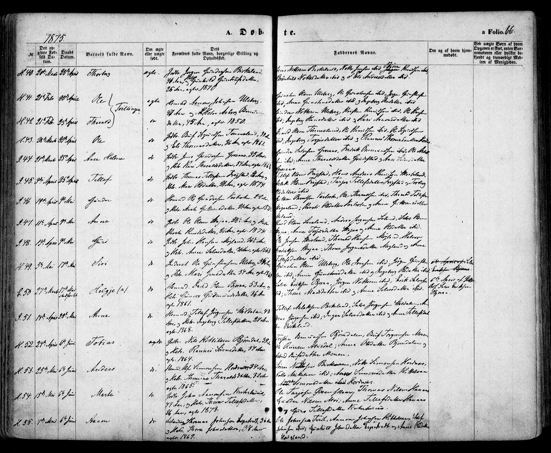 Evje sokneprestkontor, AV/SAK-1111-0008/F/Fa/Faa/L0006: Parish register (official) no. A 6, 1866-1884, p. 66