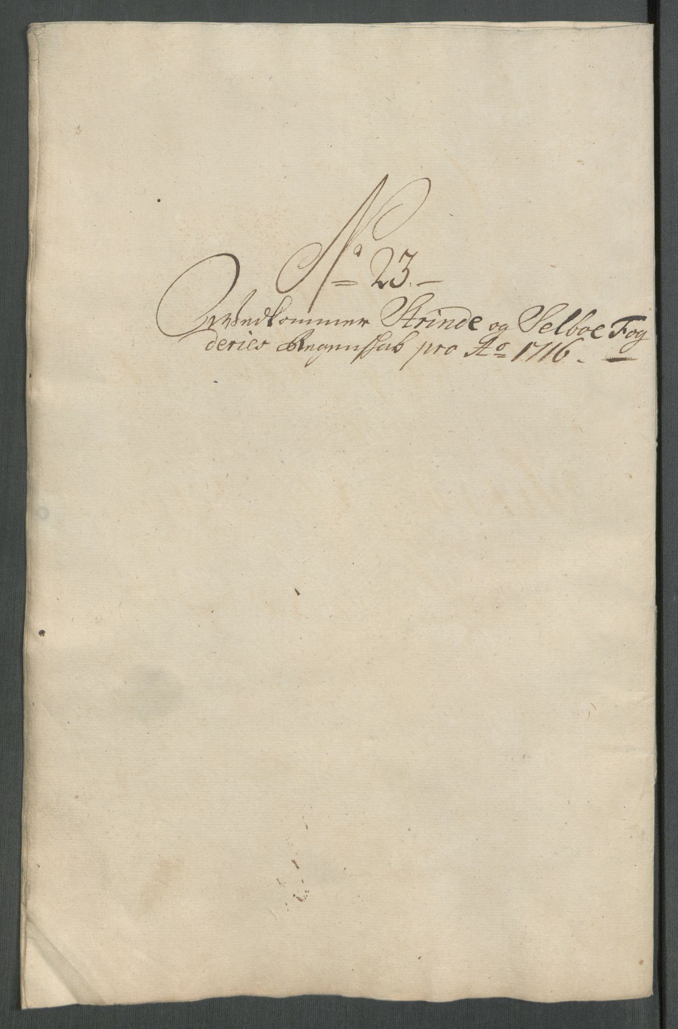 Rentekammeret inntil 1814, Reviderte regnskaper, Fogderegnskap, AV/RA-EA-4092/R61/L4115: Fogderegnskap Strinda og Selbu, 1715-1716, p. 429