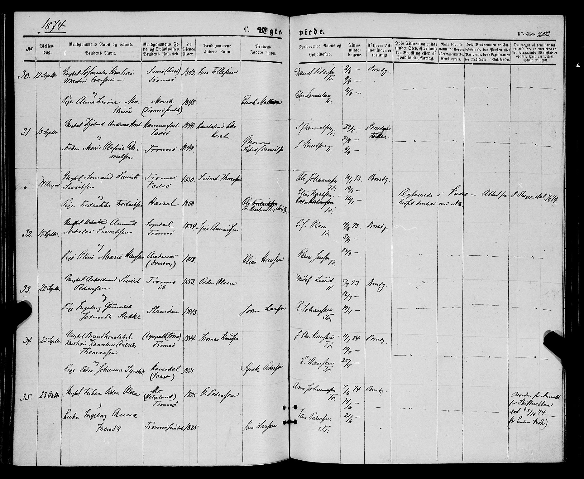 Tromsø sokneprestkontor/stiftsprosti/domprosti, AV/SATØ-S-1343/G/Ga/L0013kirke: Parish register (official) no. 13, 1872-1877, p. 203