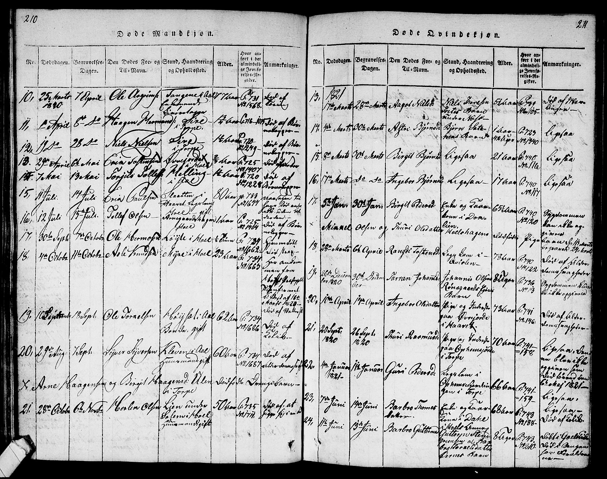 Ål kirkebøker, AV/SAKO-A-249/G/Ga/L0001: Parish register (copy) no. 1, 1815-1829, p. 210-211