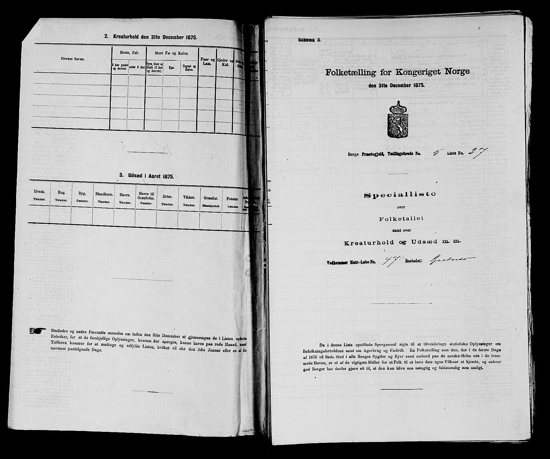 RA, 1875 census for 0113P Borge, 1875, p. 701