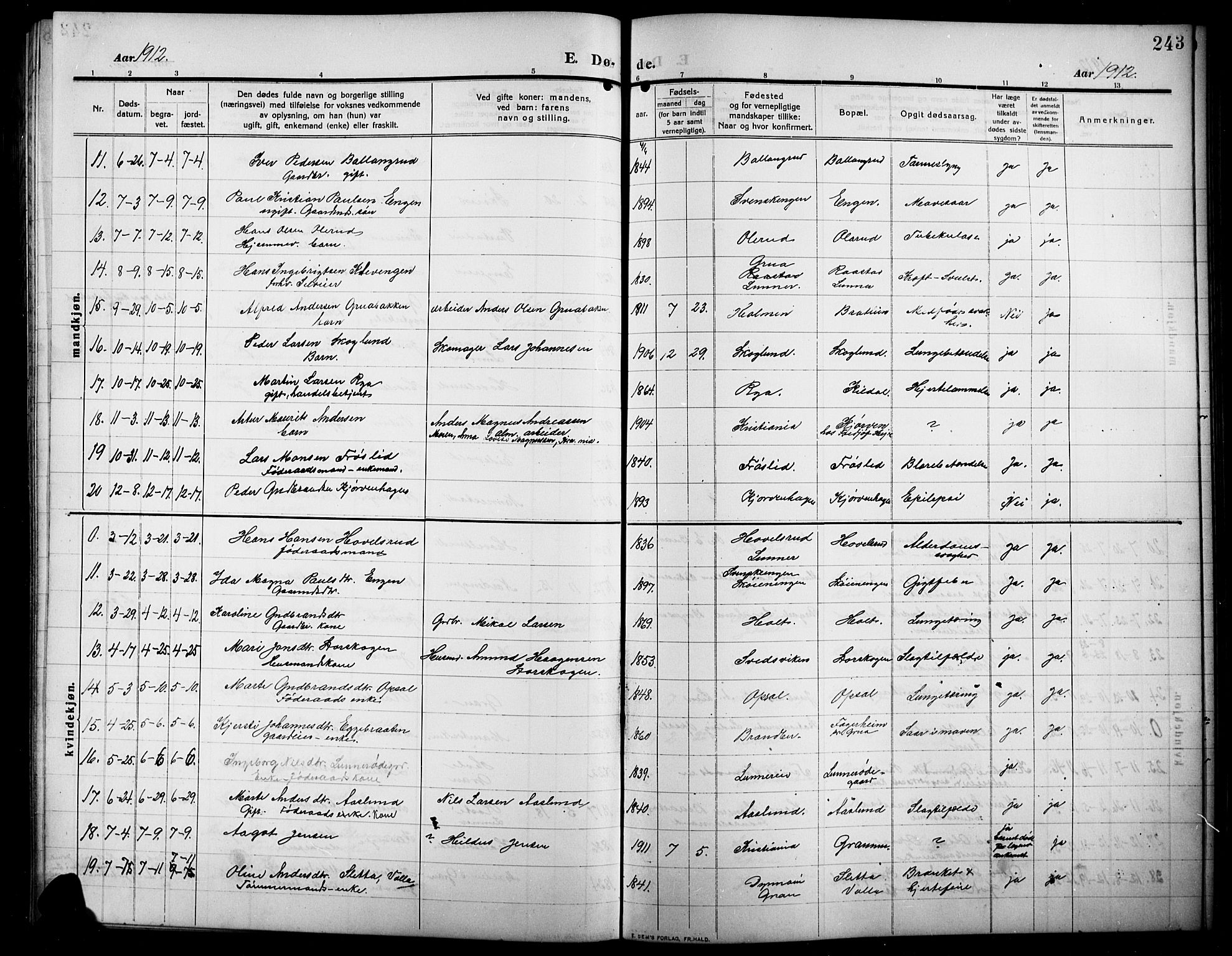 Lunner prestekontor, SAH/PREST-118/H/Ha/Hab/L0001: Parish register (copy) no. 1, 1909-1922, p. 243