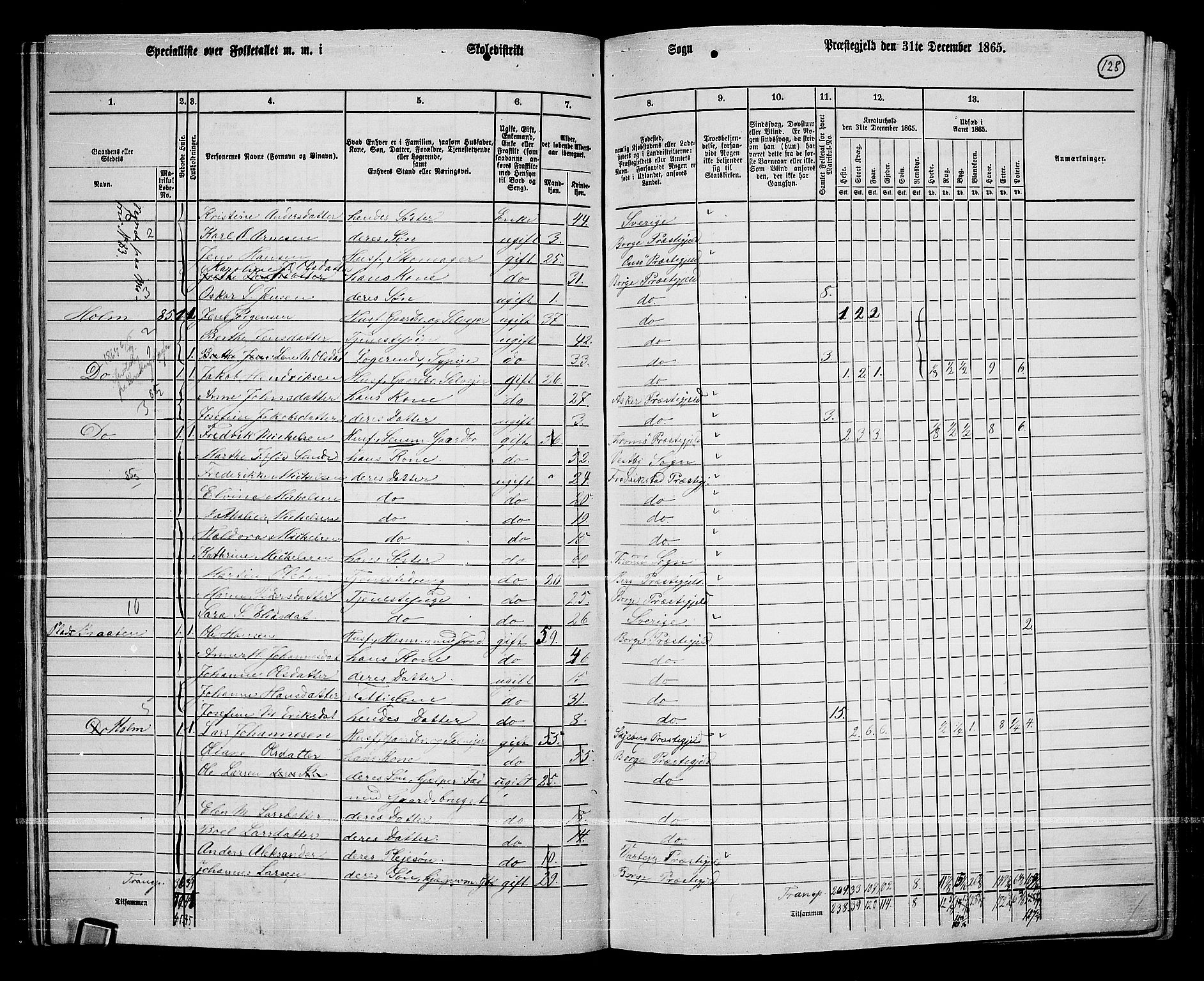 RA, 1865 census for Borge, 1865, p. 117