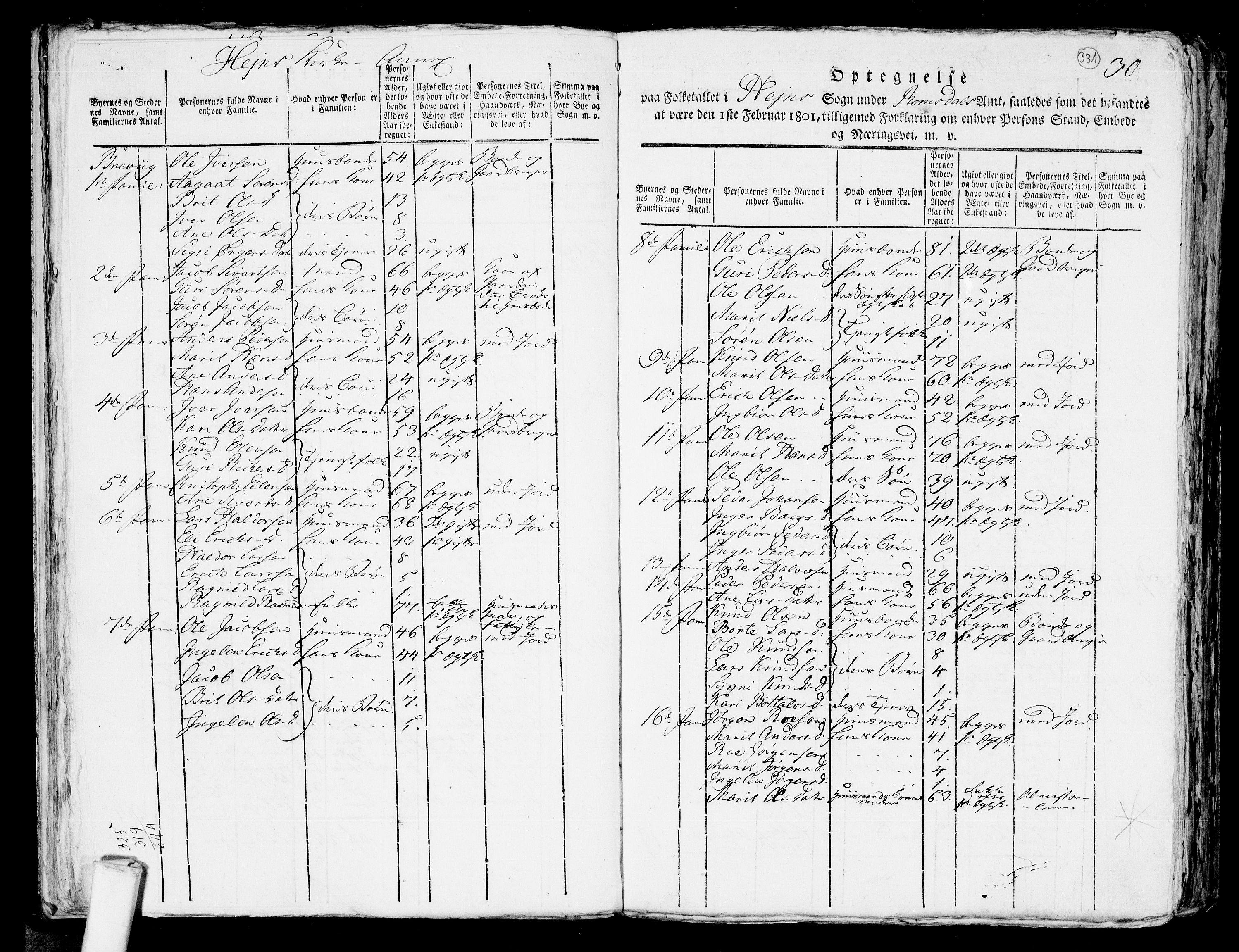 RA, 1801 census for 1539P Grytten, 1801, p. 330b-331a