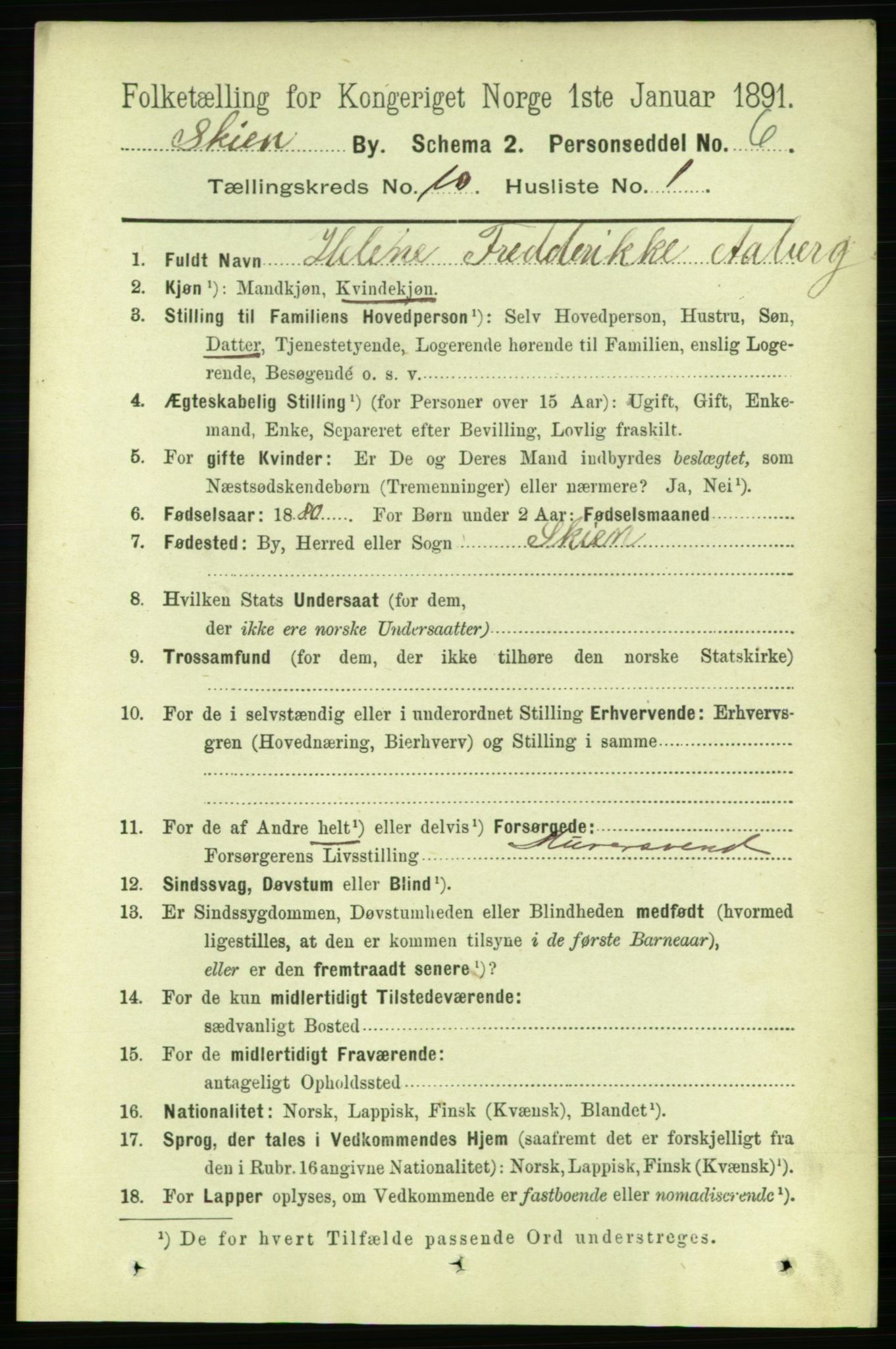 RA, 1891 census for 0806 Skien, 1891, p. 3585