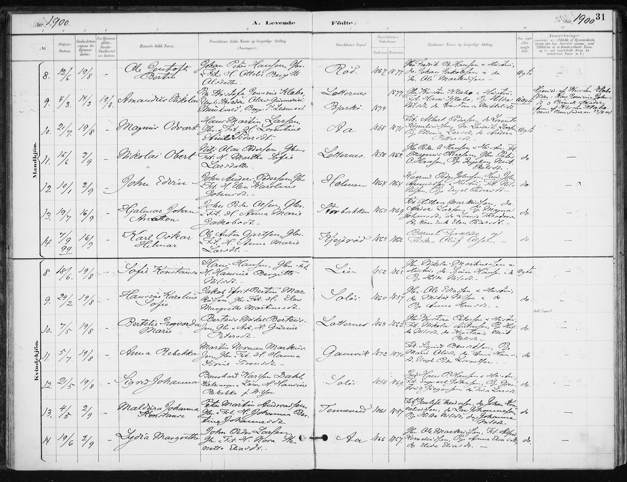 Salangen sokneprestembete, AV/SATØ-S-1324/H/Ha/L0001kirke: Parish register (official) no. 1, 1893-1911, p. 31